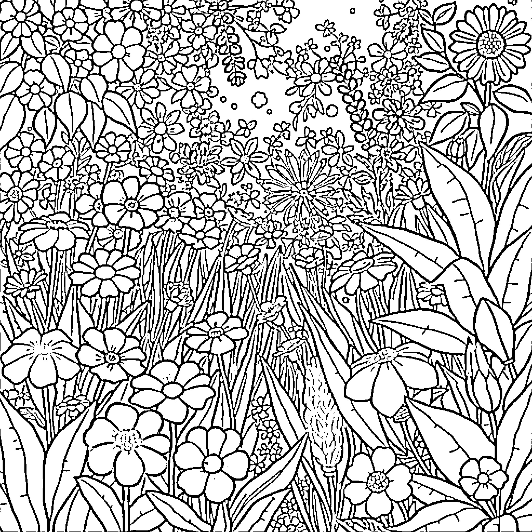 Garden filled with a variety of blooming flowers Coloring Page (free black-and-white line drawing printable PDF for all, from beginners to advanced learners, including children, teens, adults, and seniors)