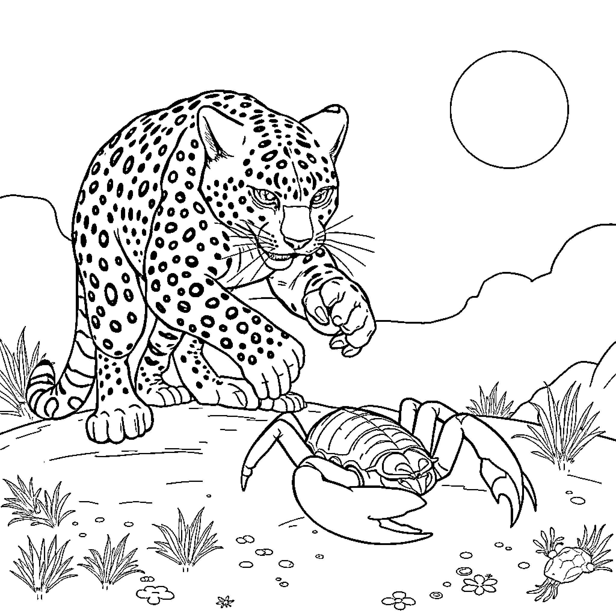 Cheetah stalking a scorpion in the wild Coloring Page (free black-and-white line drawing printable PDF for all, from beginners to advanced learners, including children, teens, adults, and seniors)