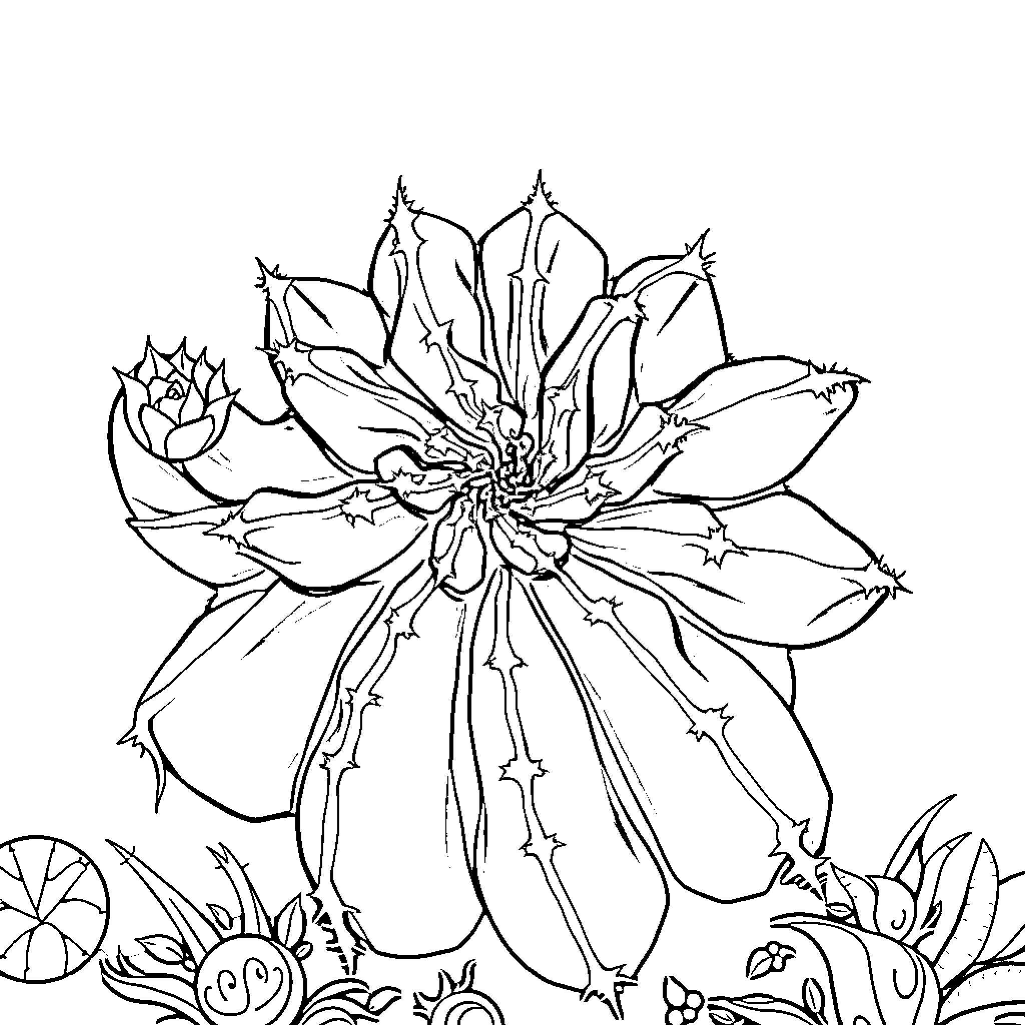 Cactus flower blooming beautifully in the garden Coloring Page (free black-and-white line drawing printable PDF for all, from beginners to advanced learners, including children, teens, adults, and seniors)