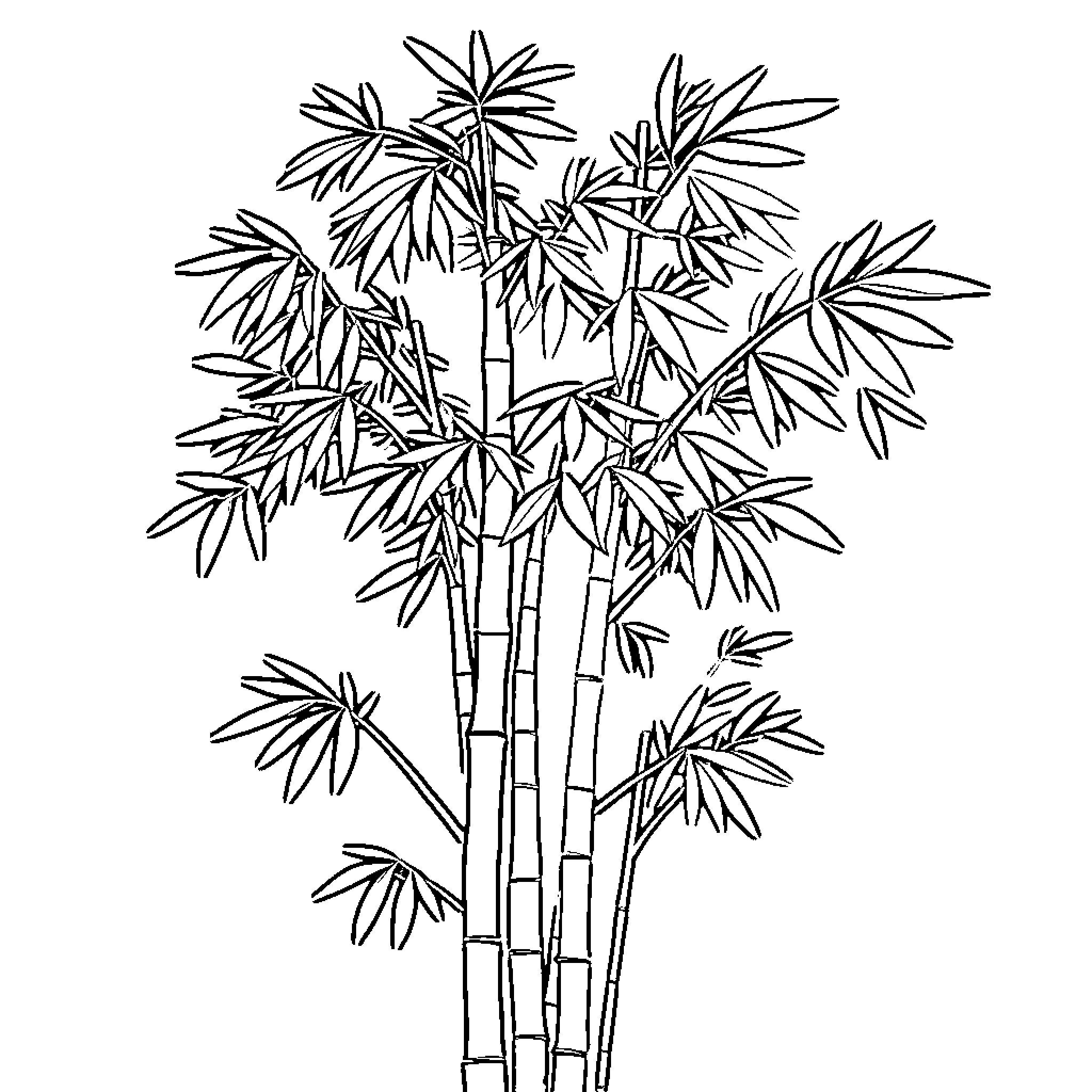 Bamboo stalks with lush foliage Coloring Page (free black-and-white line drawing printable PDF for all, from beginners to advanced learners, including children, teens, adults, and seniors)