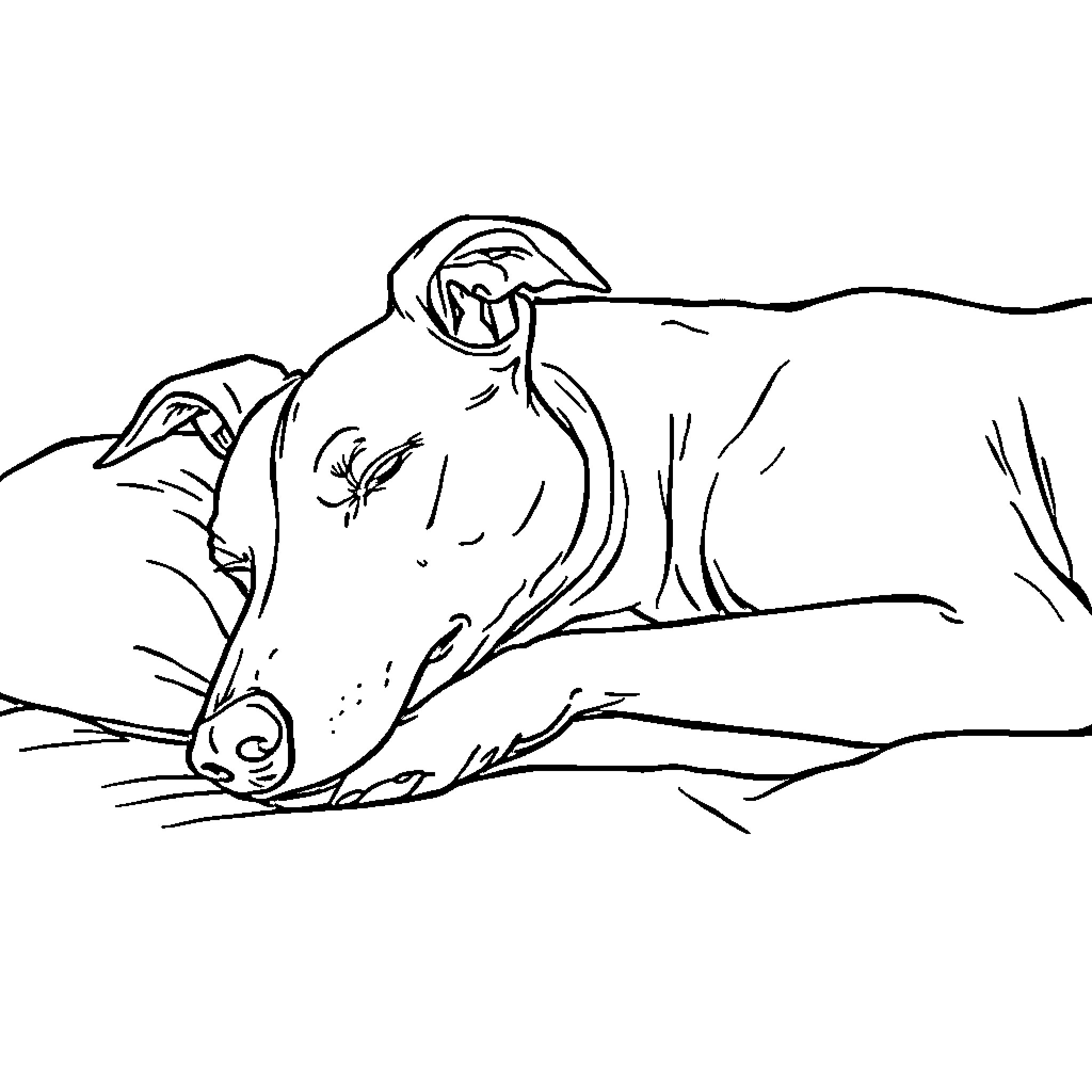 Greyhound resting peacefully in nature Coloring Page (free black-and-white line drawing printable PDF for all, from beginners to advanced learners, including children, teens, adults, and seniors)