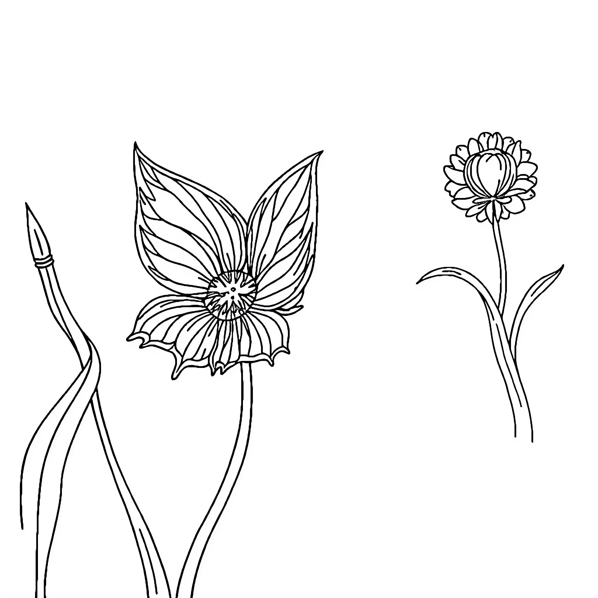 PulseArts Floral Silhouettes and Sketches Coloring Page (free black-and-white line drawing printable PDF for all, from beginners to advanced learners, including children, teens, adults, and seniors)