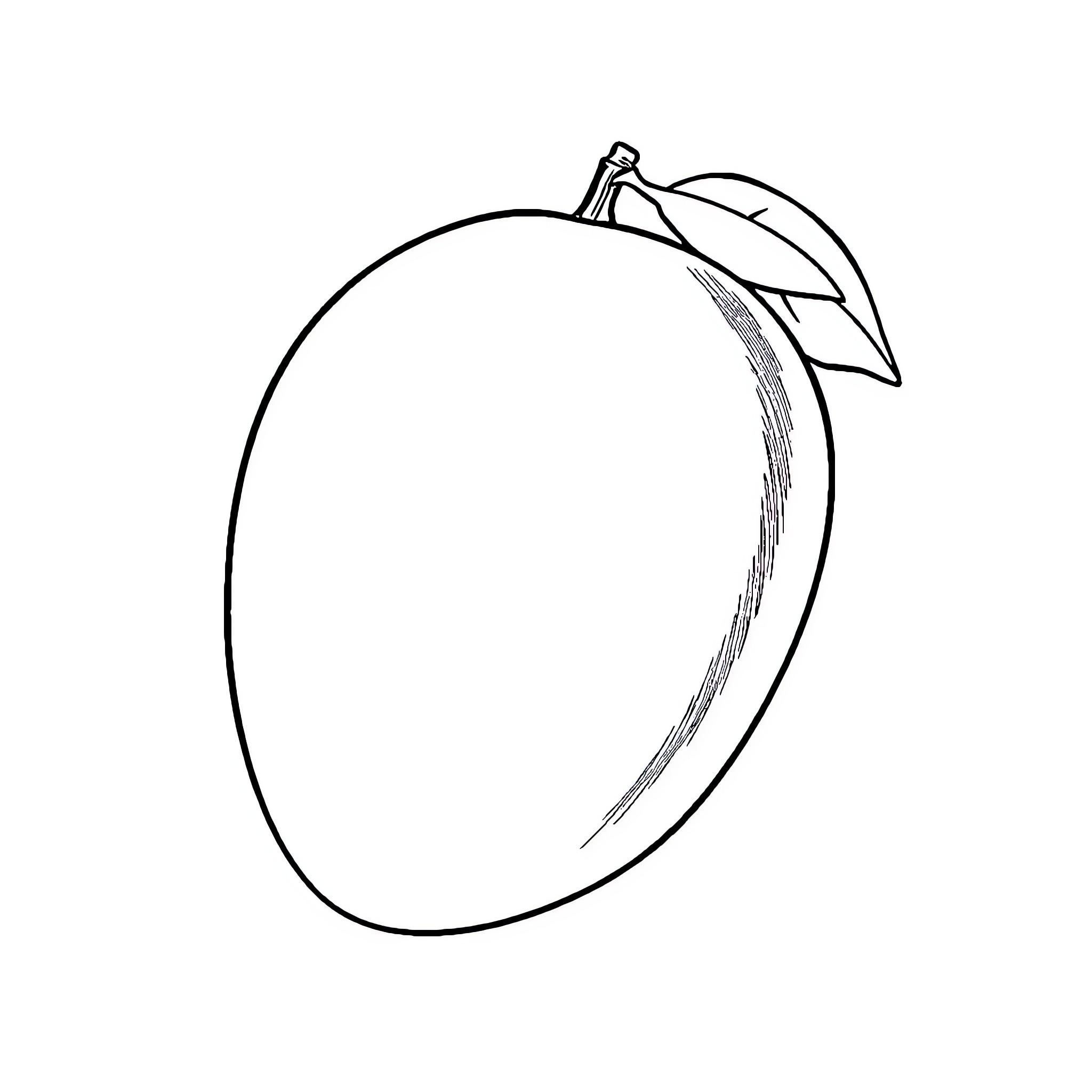 Mango with leaves in simple outline Coloring Page (free black-and-white line drawing printable PDF for all, from beginners to advanced learners, including children, teens, adults, and seniors)