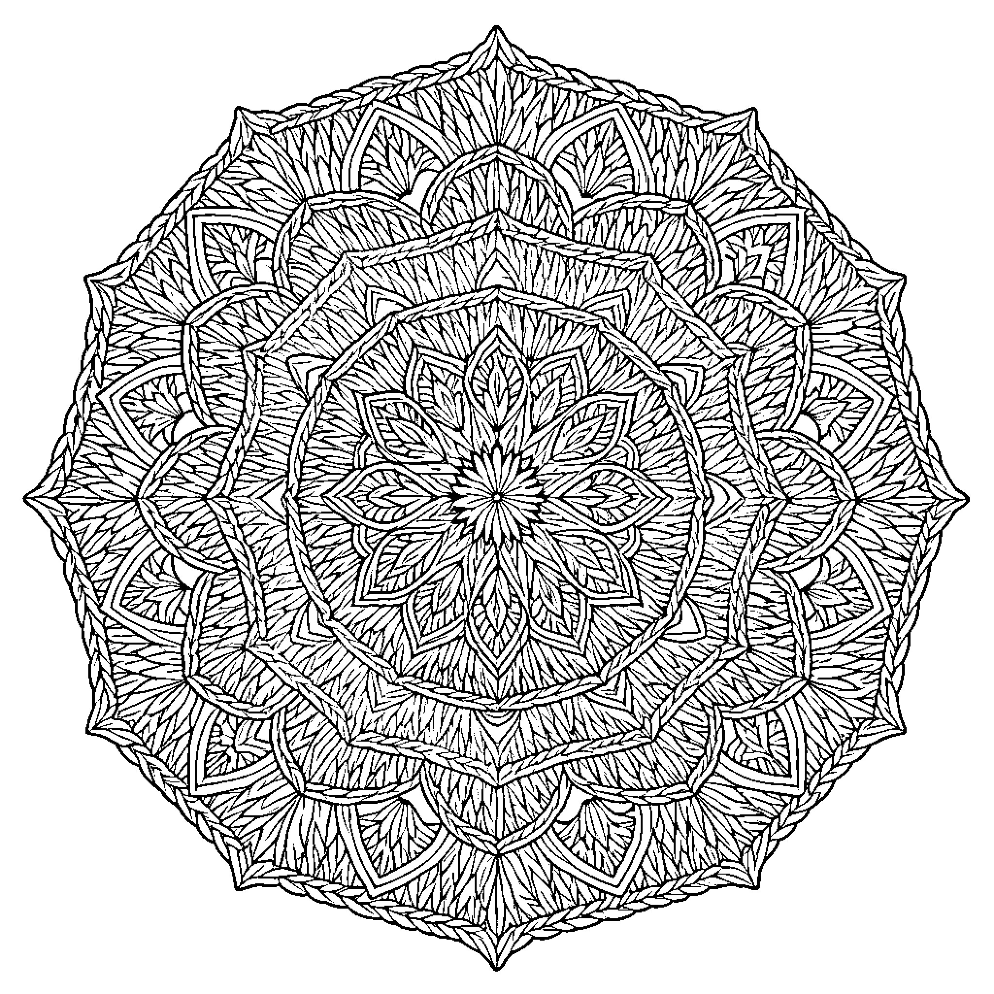Mandala of intricate floral designs Coloring Page (free black-and-white line drawing printable PDF for all, from beginners to advanced learners, including children, teens, adults, and seniors)