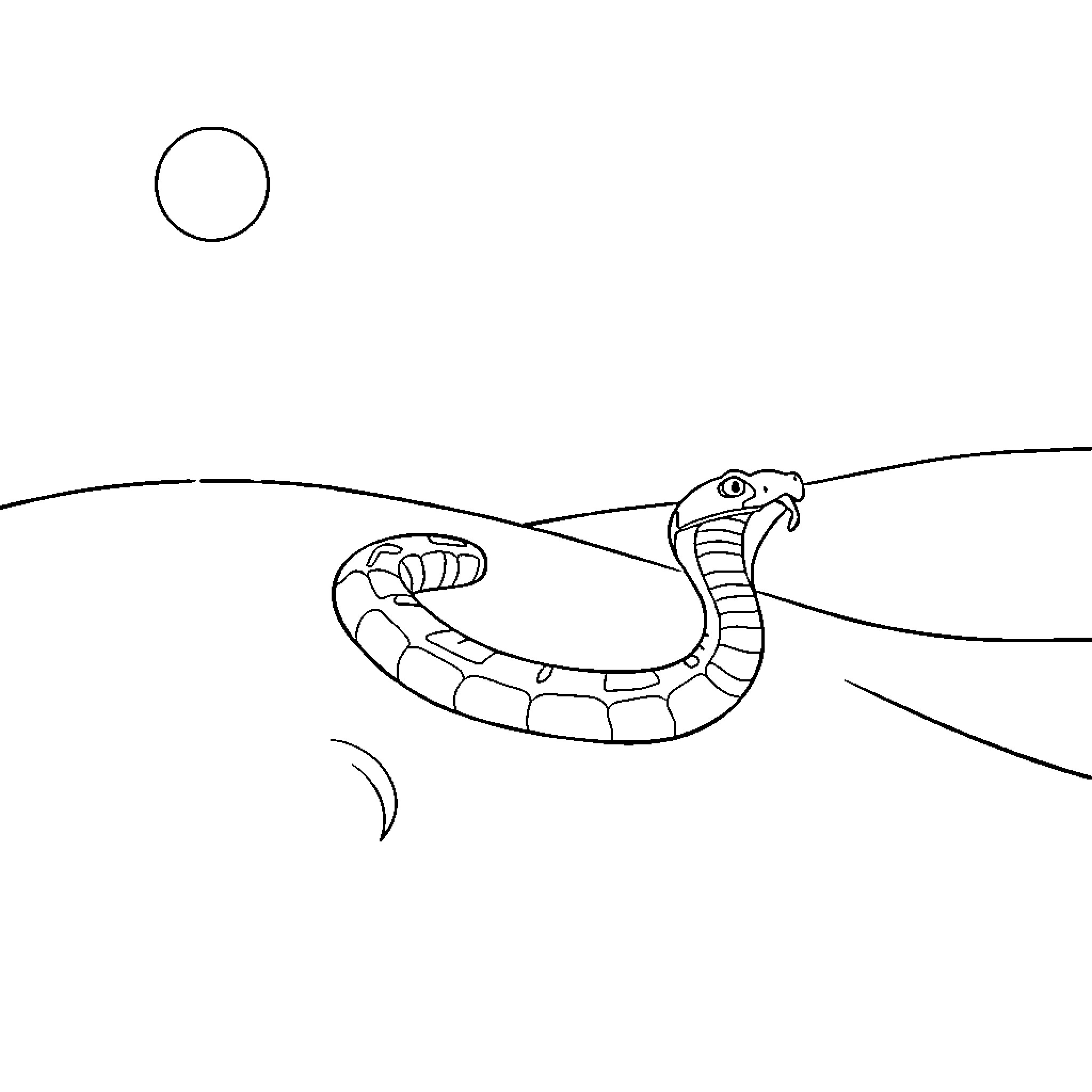Snake slithering through the night landscape Coloring Page (free black-and-white line drawing printable PDF for all, from beginners to advanced learners, including children, teens, adults, and seniors)