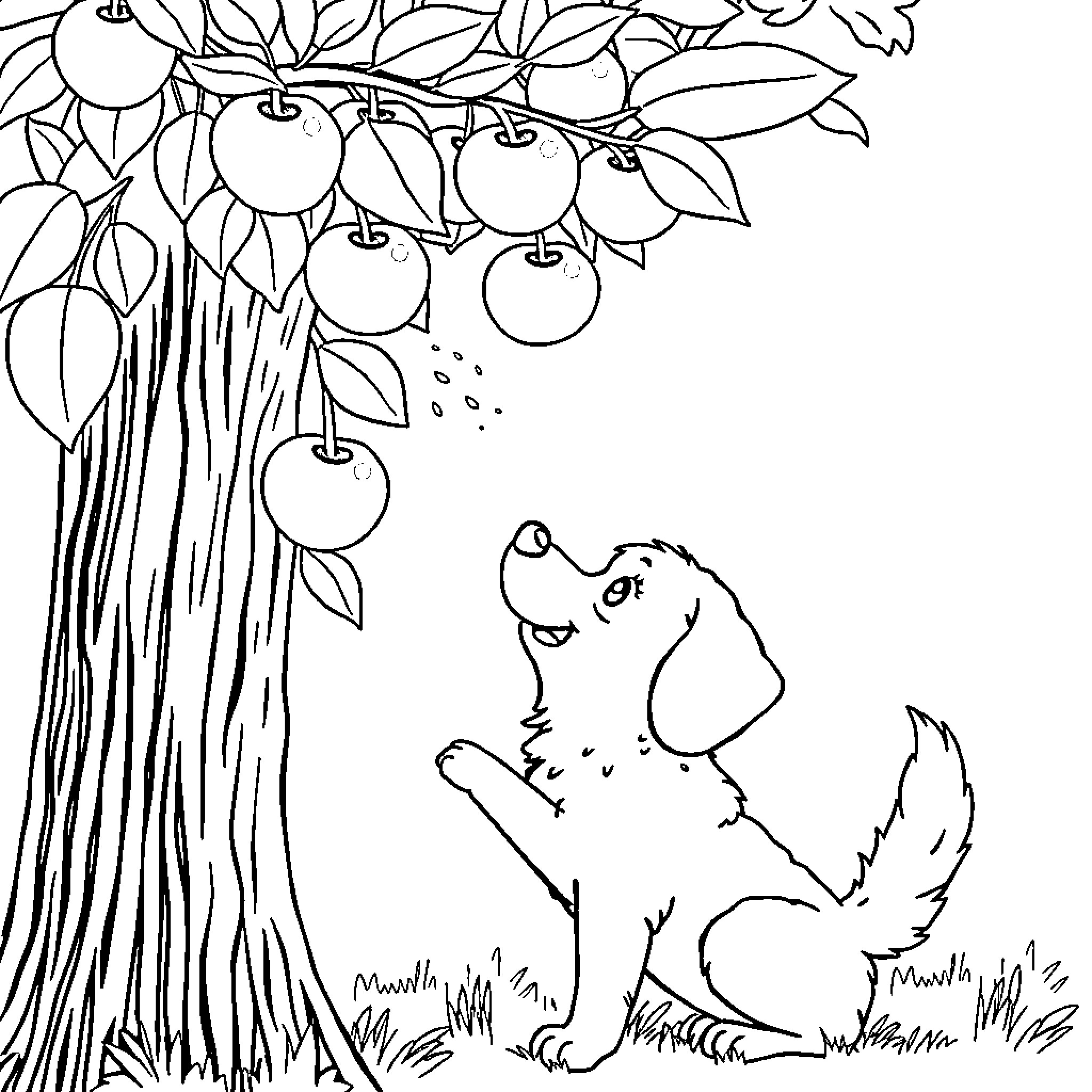 Dog looking up at apple tree Coloring Page (free black-and-white line drawing printable PDF for all, from beginners to advanced learners, including children, teens, adults, and seniors)