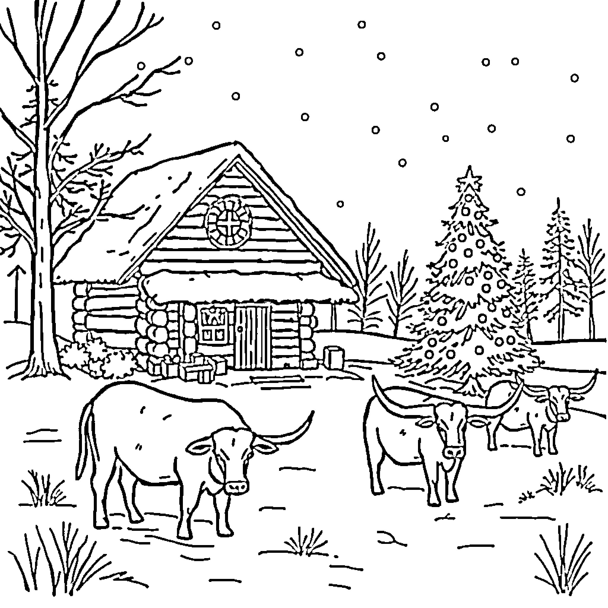 Longhorn cattle in snowy winter landscape with cabin Coloring Page (free black-and-white line drawing printable PDF for all, from beginners to advanced learners, including children, teens, adults, and seniors)