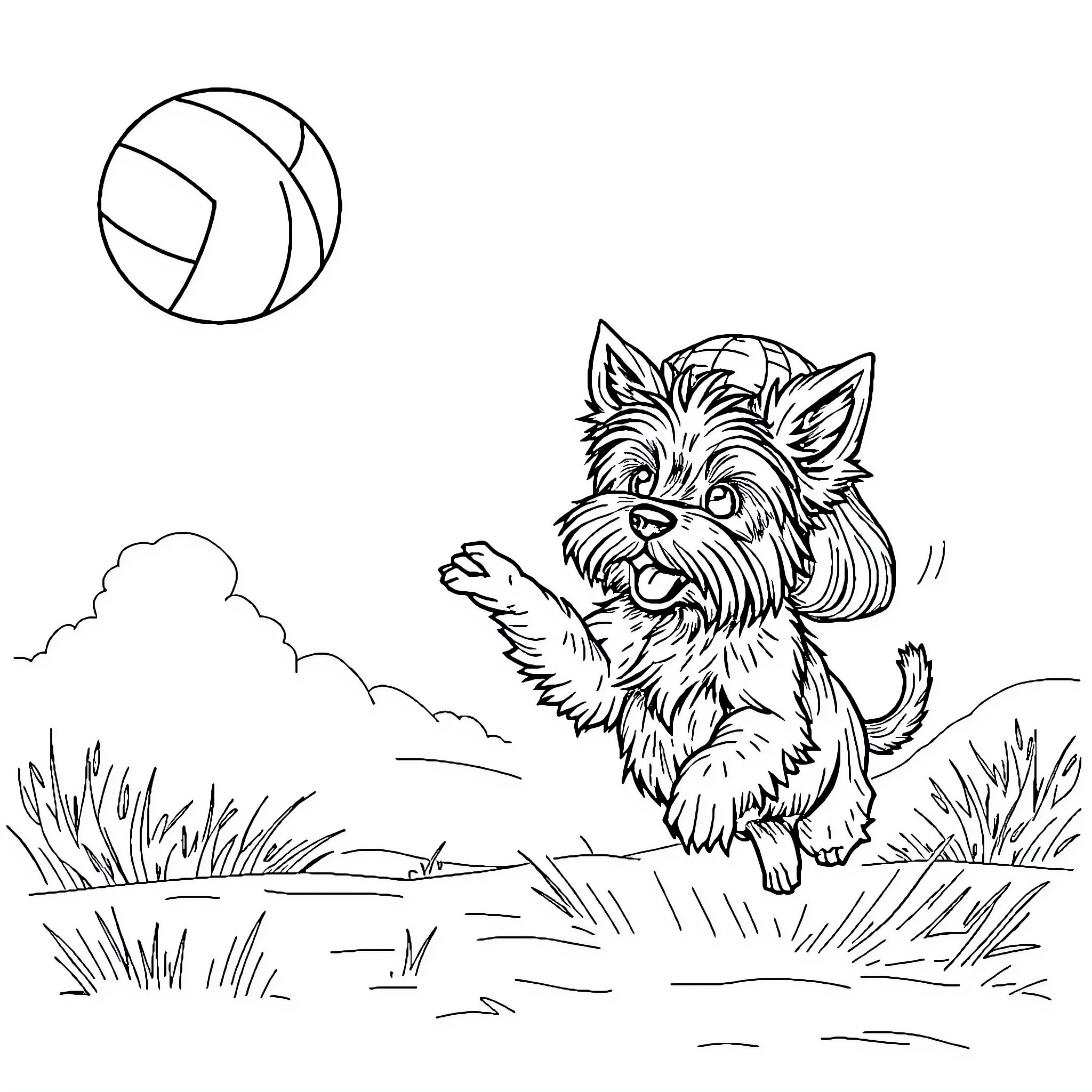 Yorkshire Terrier playing with volleyball on a meadow Coloring Page (free black-and-white line drawing printable PDF for all, from beginners to advanced learners, including children, teens, adults, and seniors)