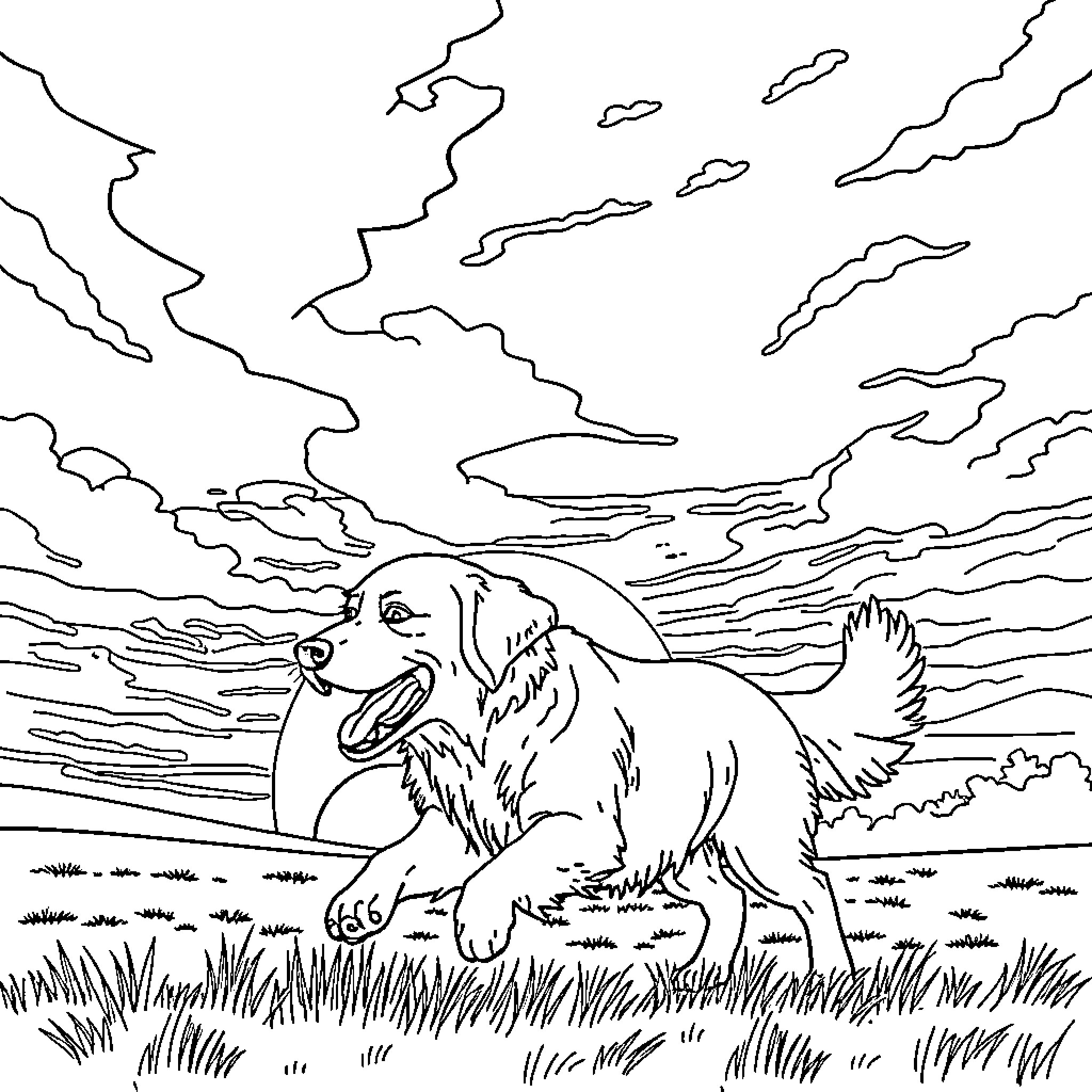 Golden Retriever playing joyfully in the outdoors Coloring Page (free black-and-white line drawing printable PDF for all, from beginners to advanced learners, including children, teens, adults, and seniors)