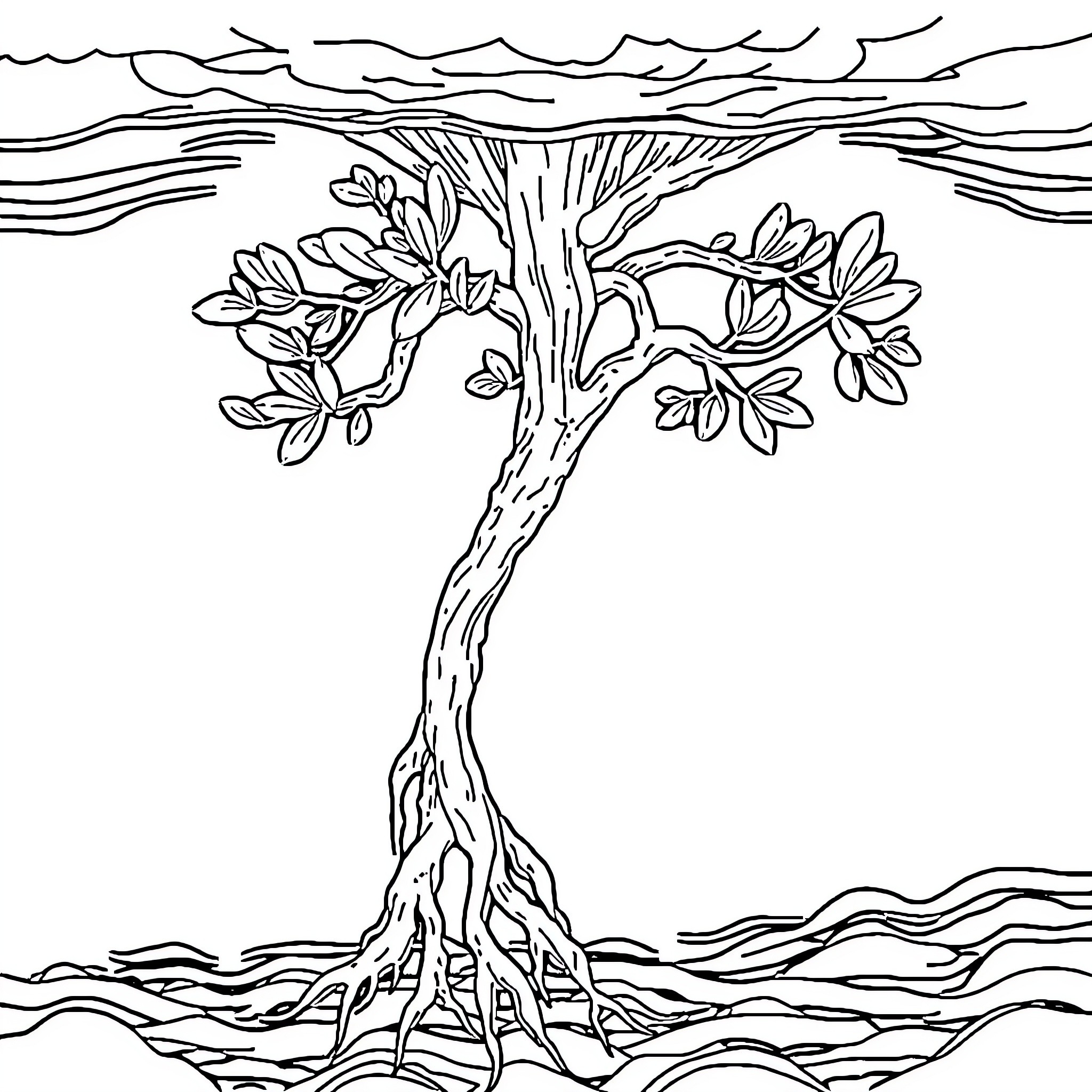 Eucalyptus Tree in Serene Landscape Coloring Page (free black-and-white line drawing printable PDF for all, from beginners to advanced learners, including children, teens, adults, and seniors)