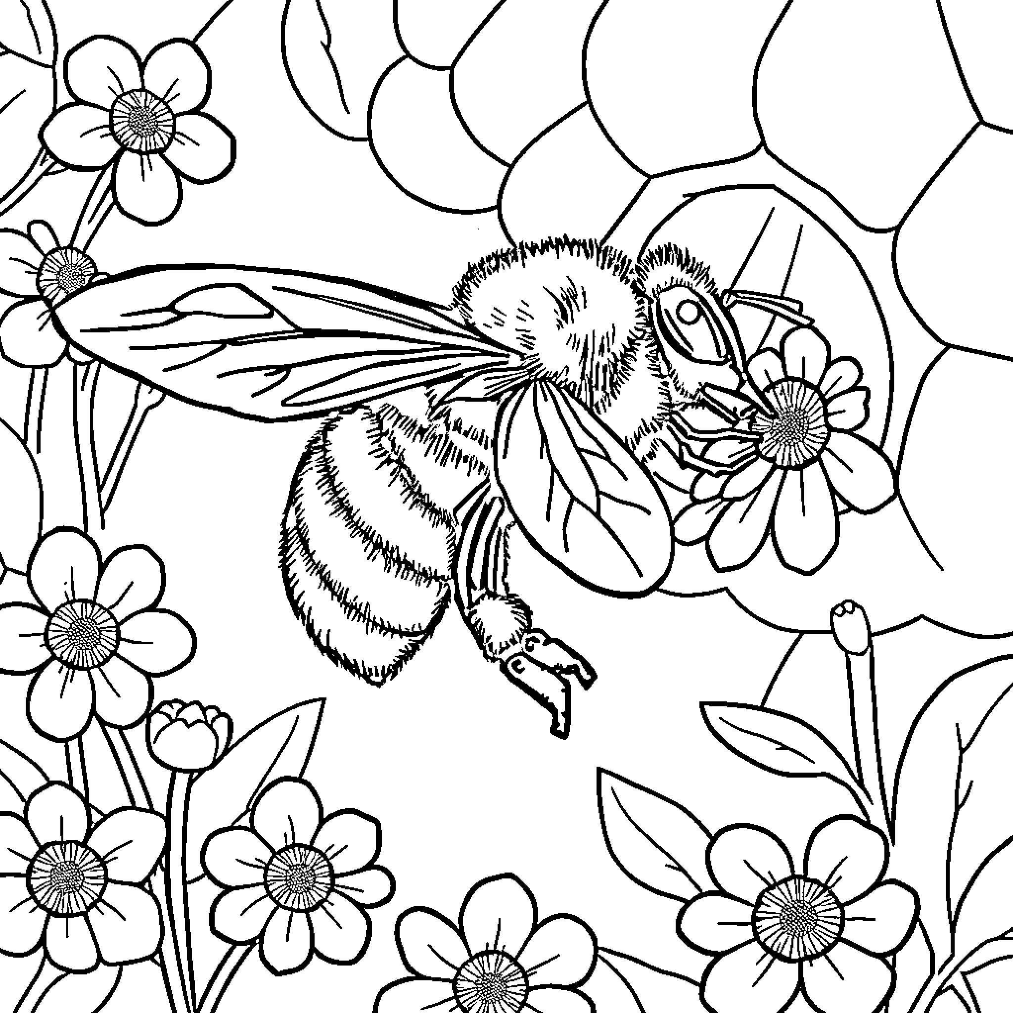 Bee collecting nectar from vibrant flowers Coloring Page (free black-and-white line drawing printable PDF for all, from beginners to advanced learners, including children, teens, adults, and seniors)
