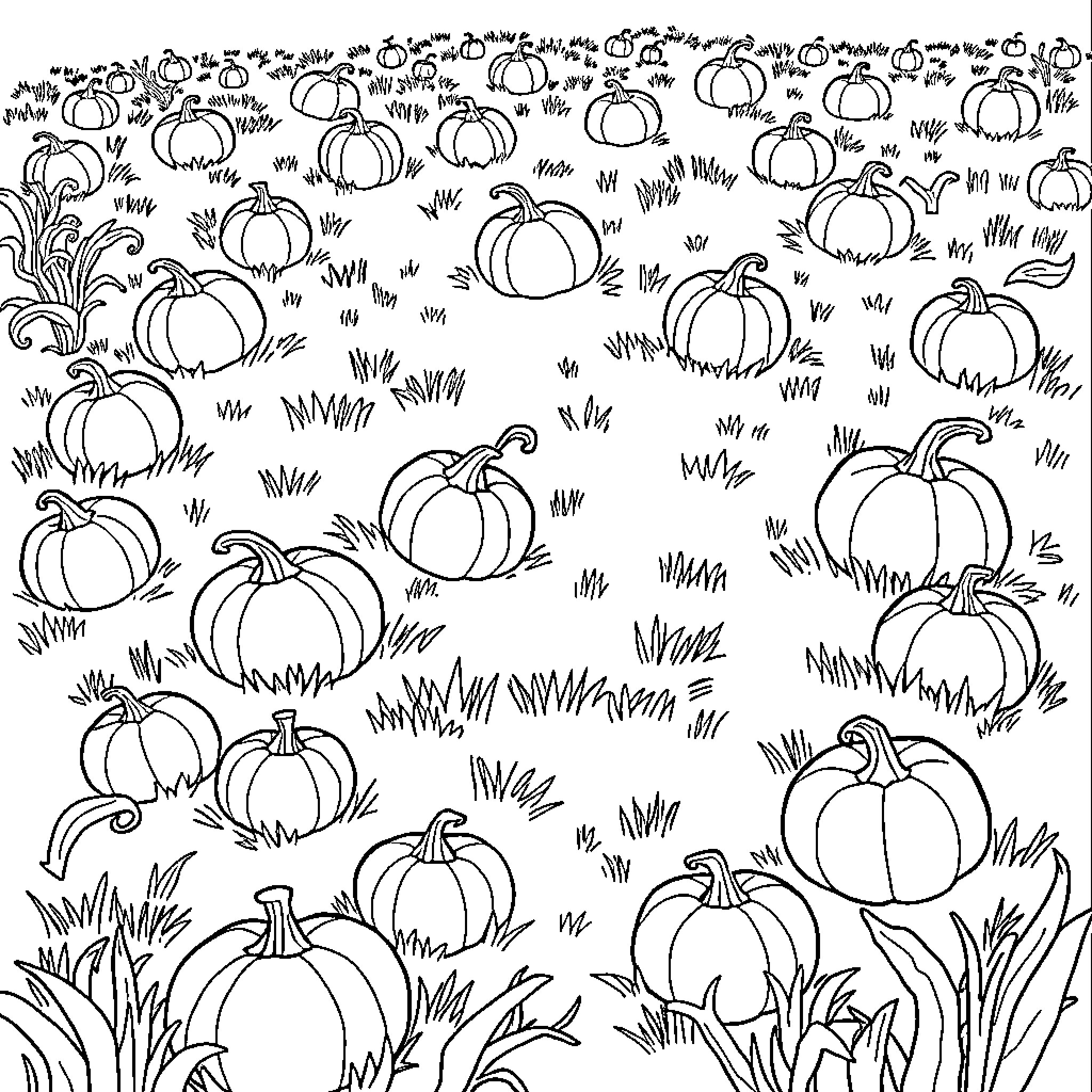 Pumpkin patch with scattered gourds Coloring Page (free black-and-white line drawing printable PDF for all, from beginners to advanced learners, including children, teens, adults, and seniors)