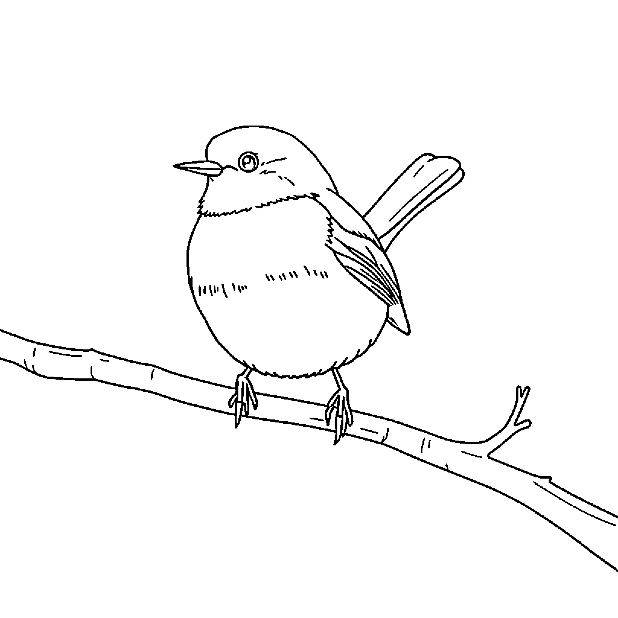 Robin resting calmly on the branch Coloring Page (free black-and-white line drawing printable PDF for all, from beginners to advanced learners, including children, teens, adults, and seniors)