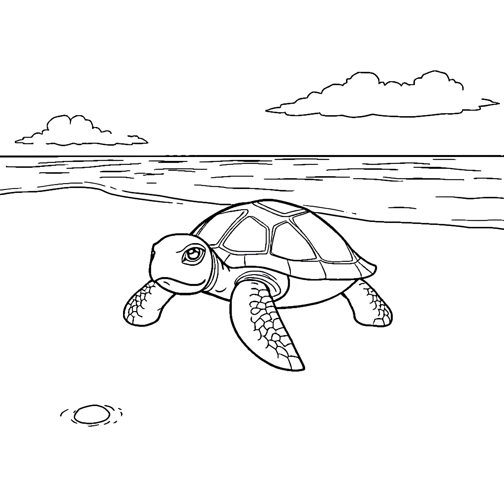 Turtle swimming in peaceful waters Coloring Page (free black-and-white line drawing printable PDF for all, from beginners to advanced learners, including children, teens, adults, and seniors)