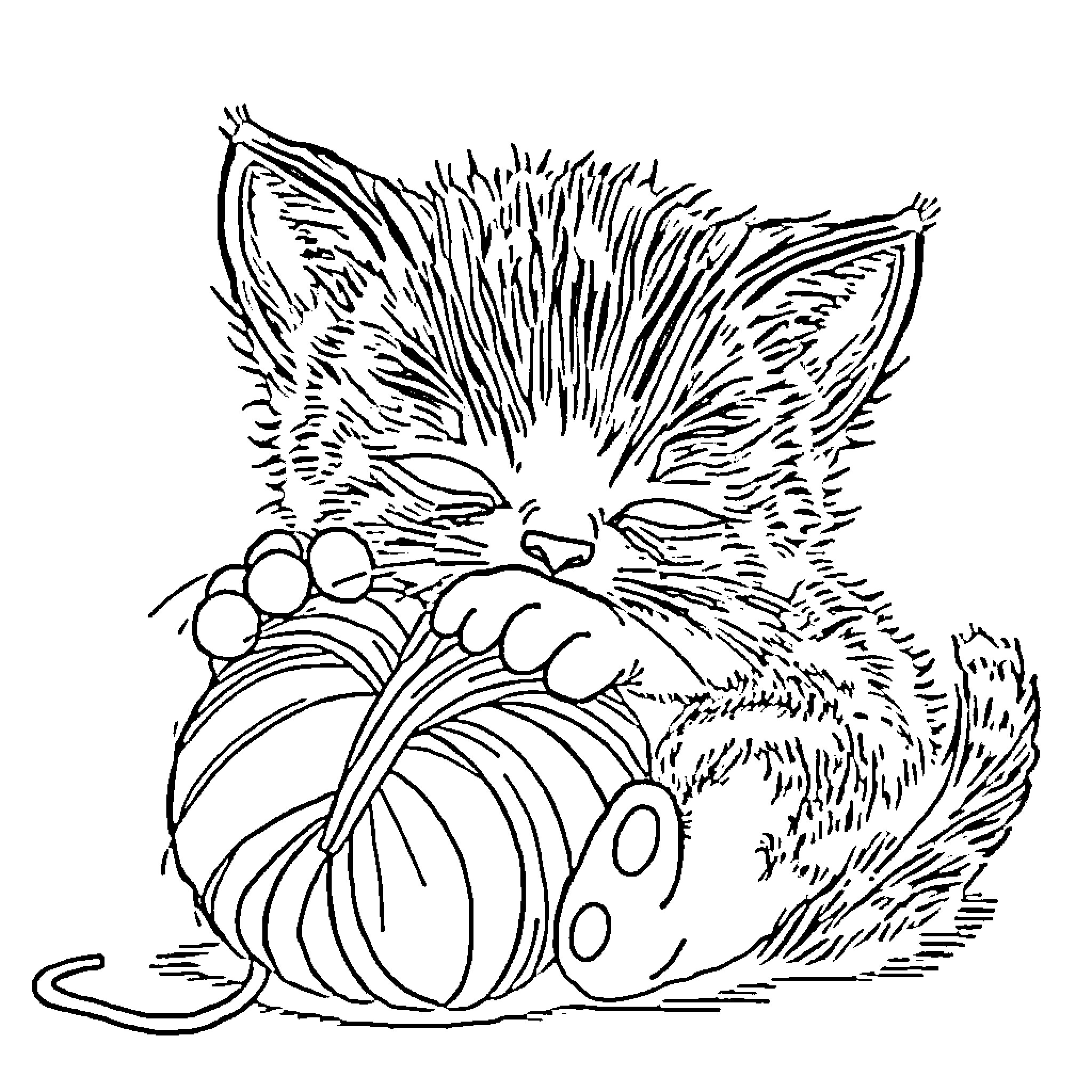 Kitten hugging pumpkin with playful expression Coloring Page (free black-and-white line drawing printable PDF for all, from beginners to advanced learners, including children, teens, adults, and seniors)