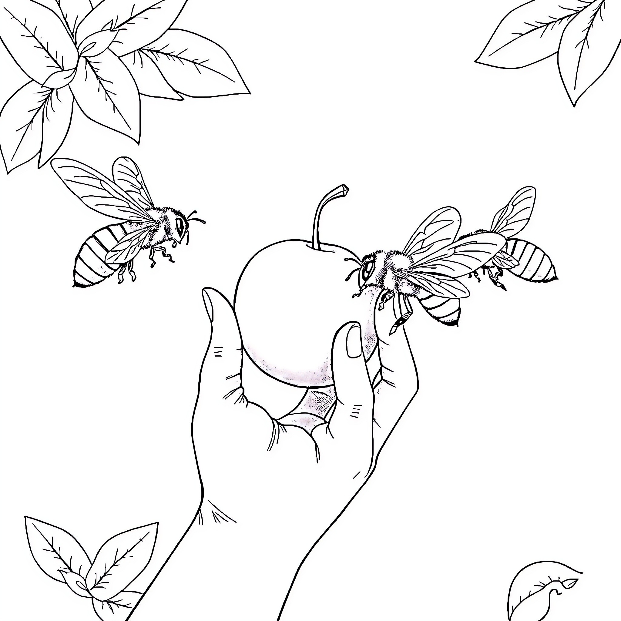 Main hand holding apple with bees flying around Coloring Page (free black-and-white line drawing printable PDF for all, from beginners to advanced learners, including children, teens, adults, and seniors)