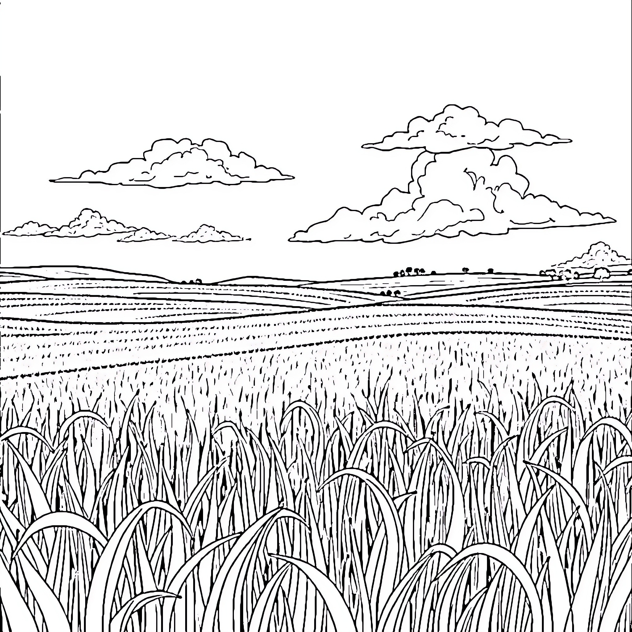 Farm Landscape with Distant Hills and Clouds Coloring Page (free black-and-white line drawing printable PDF for all, from beginners to advanced learners, including children, teens, adults, and seniors)