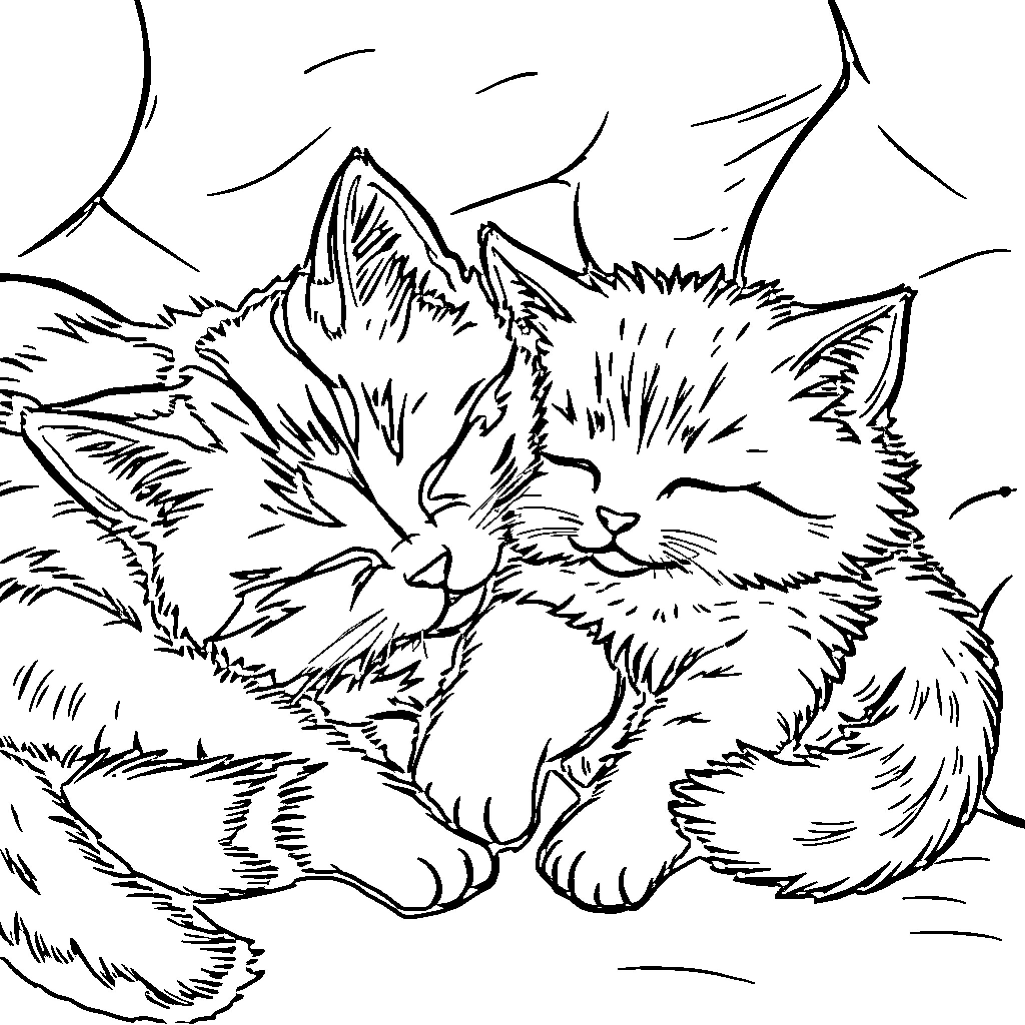 Cat napping peacefully in the grass Coloring Page (free black-and-white line drawing printable PDF for all, from beginners to advanced learners, including children, teens, adults, and seniors)