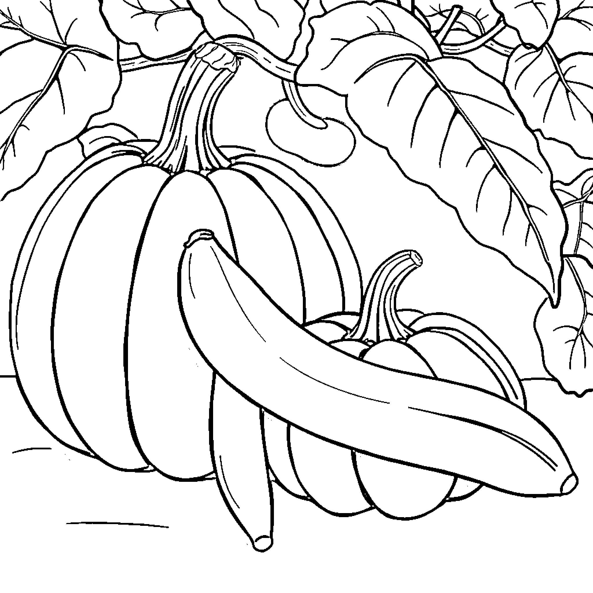 Banana and Pumpkin in Fall Foliage Coloring Page (free black-and-white line drawing printable PDF for all, from beginners to advanced learners, including children, teens, adults, and seniors)