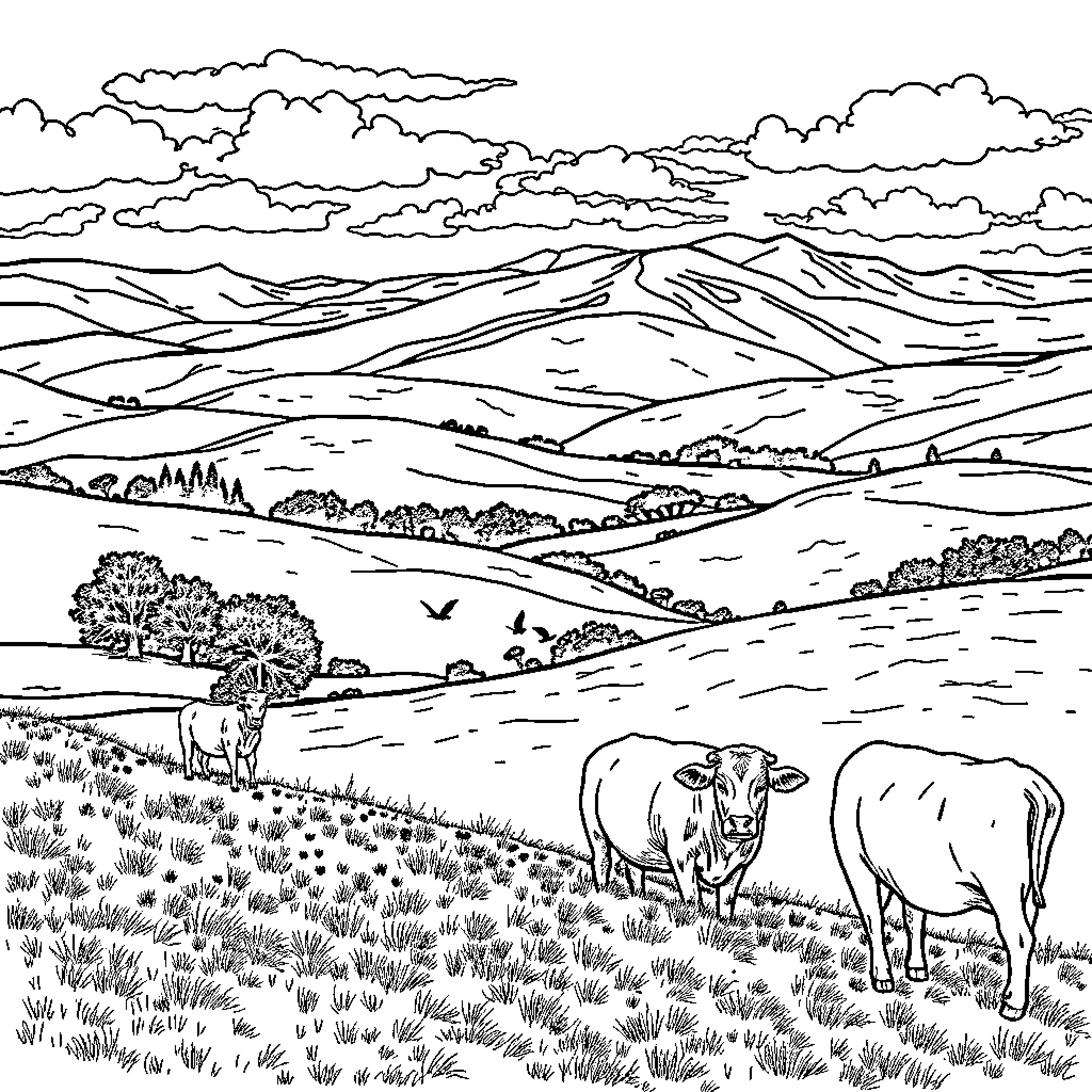 Boeuf Grazing Amidst Picturesque Countryside Coloring Page (free black-and-white line drawing printable PDF for all, from beginners to advanced learners, including children, teens, adults, and seniors)