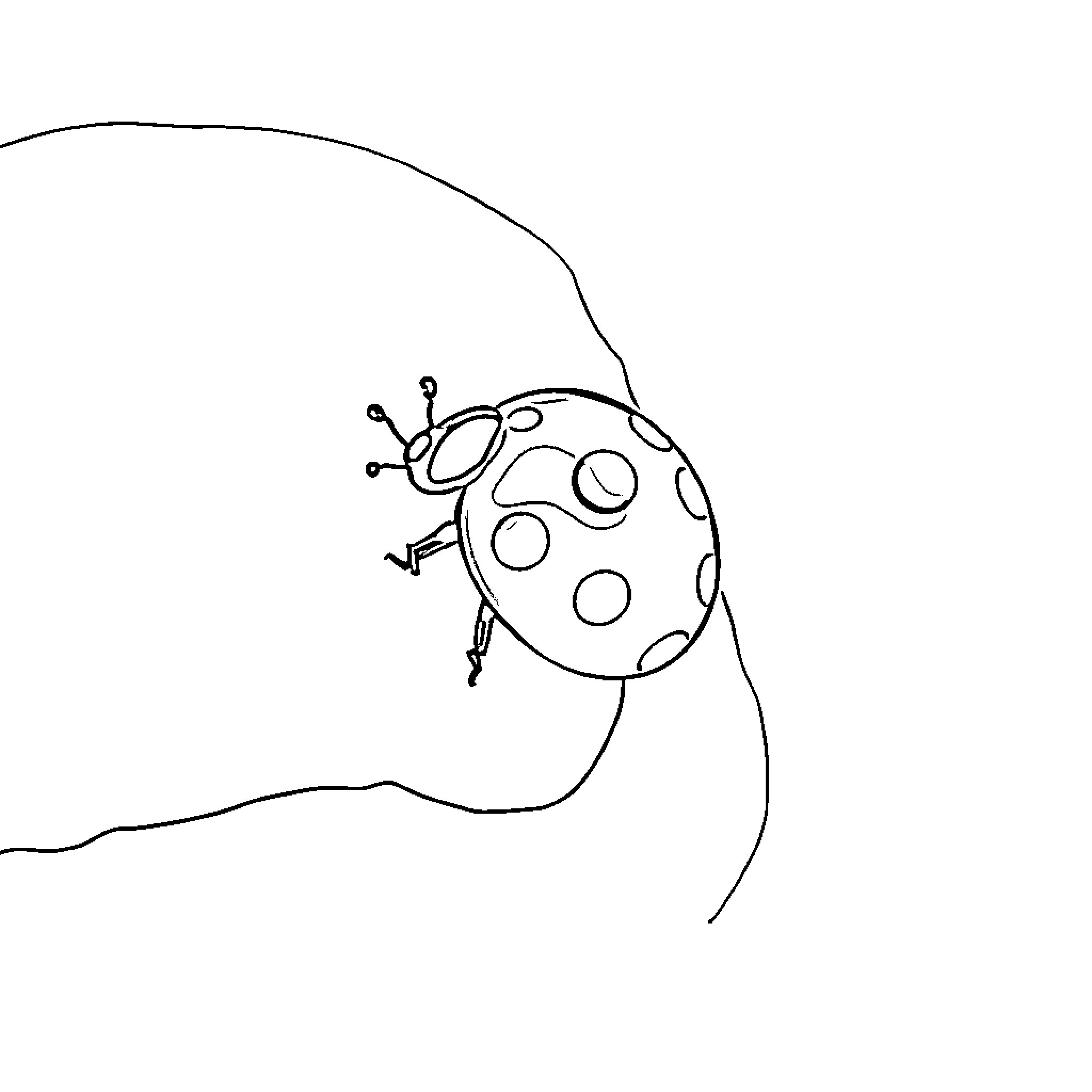 Ladybug climbing on the wall Coloring Page (free black-and-white line drawing printable PDF for all, from beginners to advanced learners, including children, teens, adults, and seniors)
