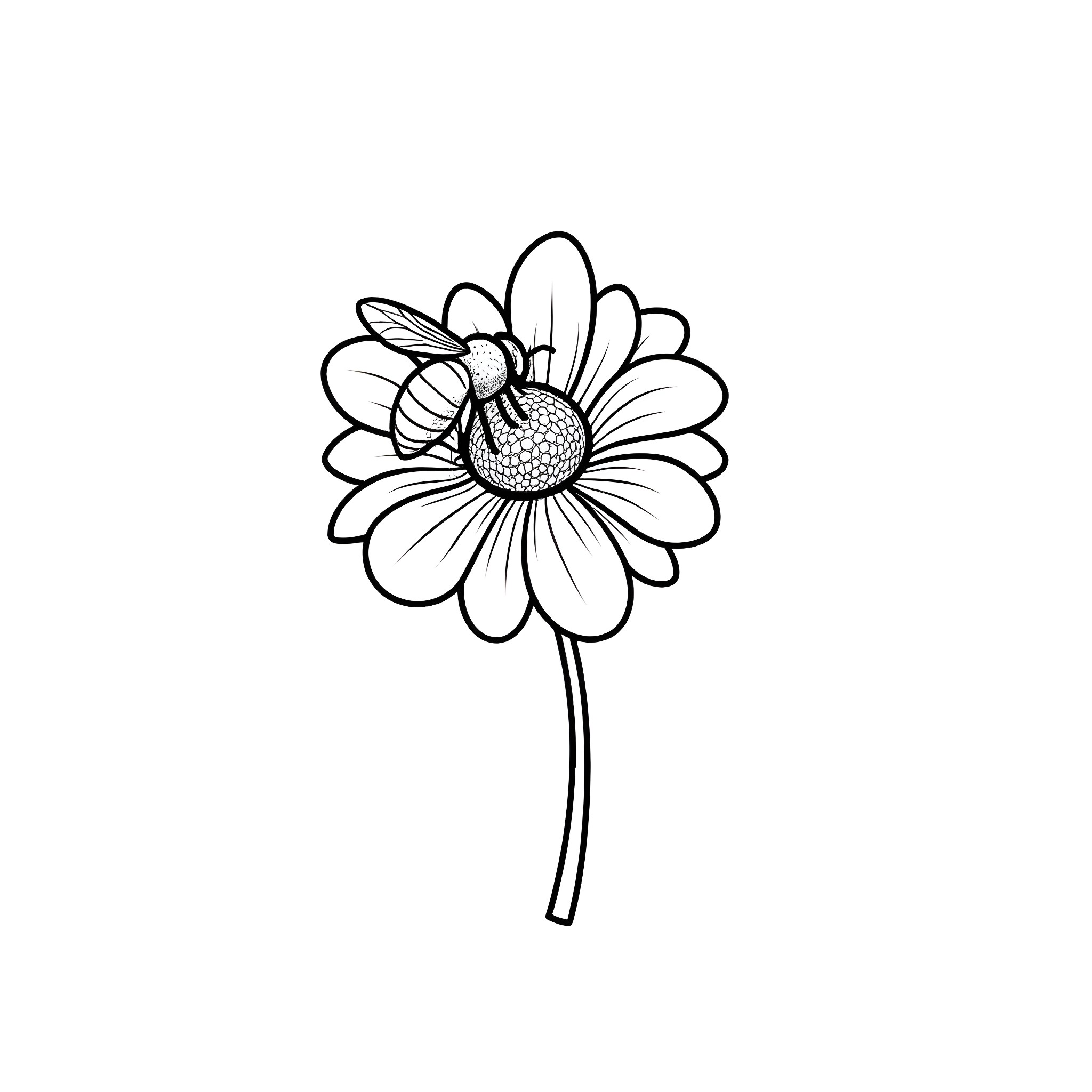 Bee visiting a beautiful daisy flower Coloring Page (free black-and-white line drawing printable PDF for all, from beginners to advanced learners, including children, teens, adults, and seniors)