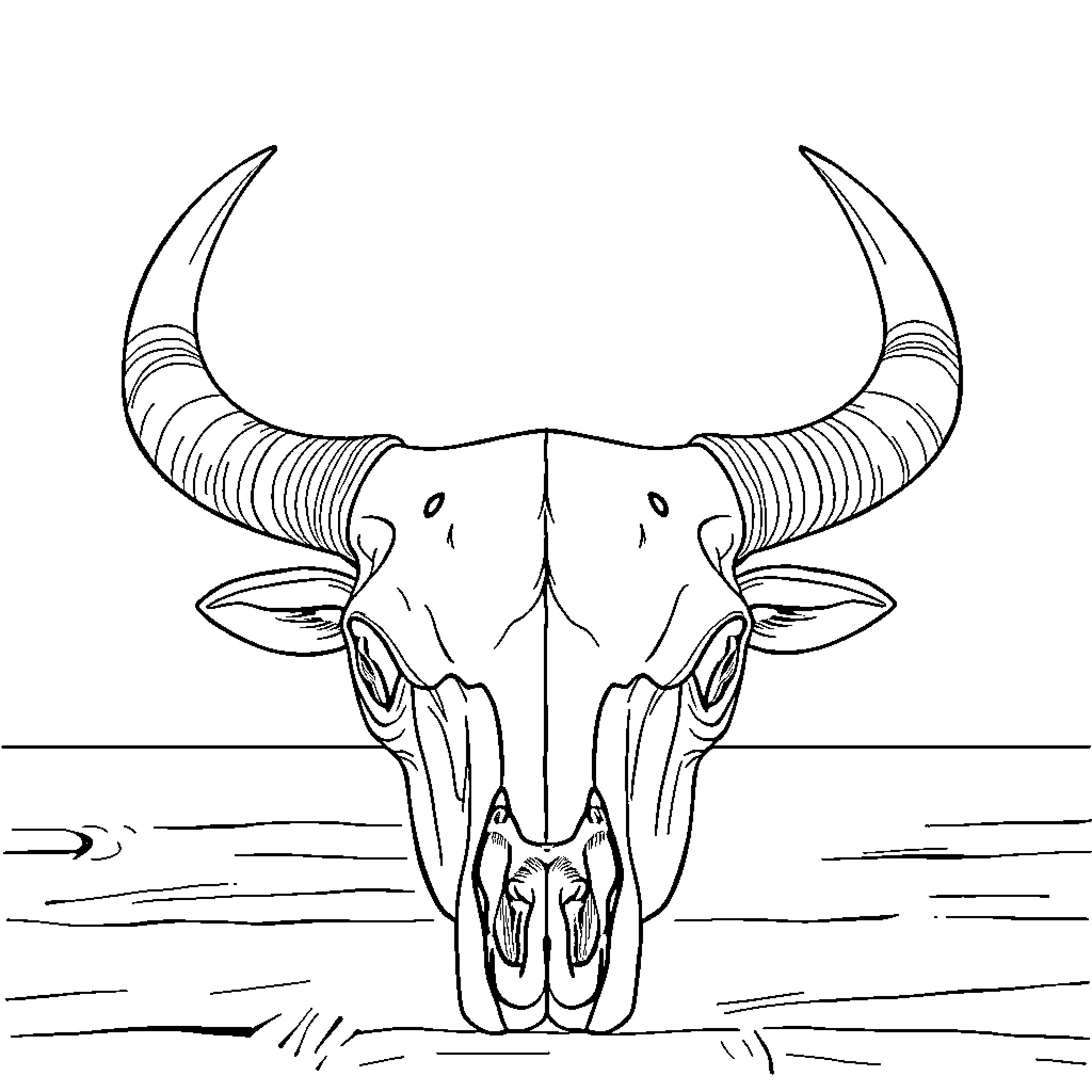 Bull Skull resting on the ground Coloring Page (free black-and-white line drawing printable PDF for all, from beginners to advanced learners, including children, teens, adults, and seniors)