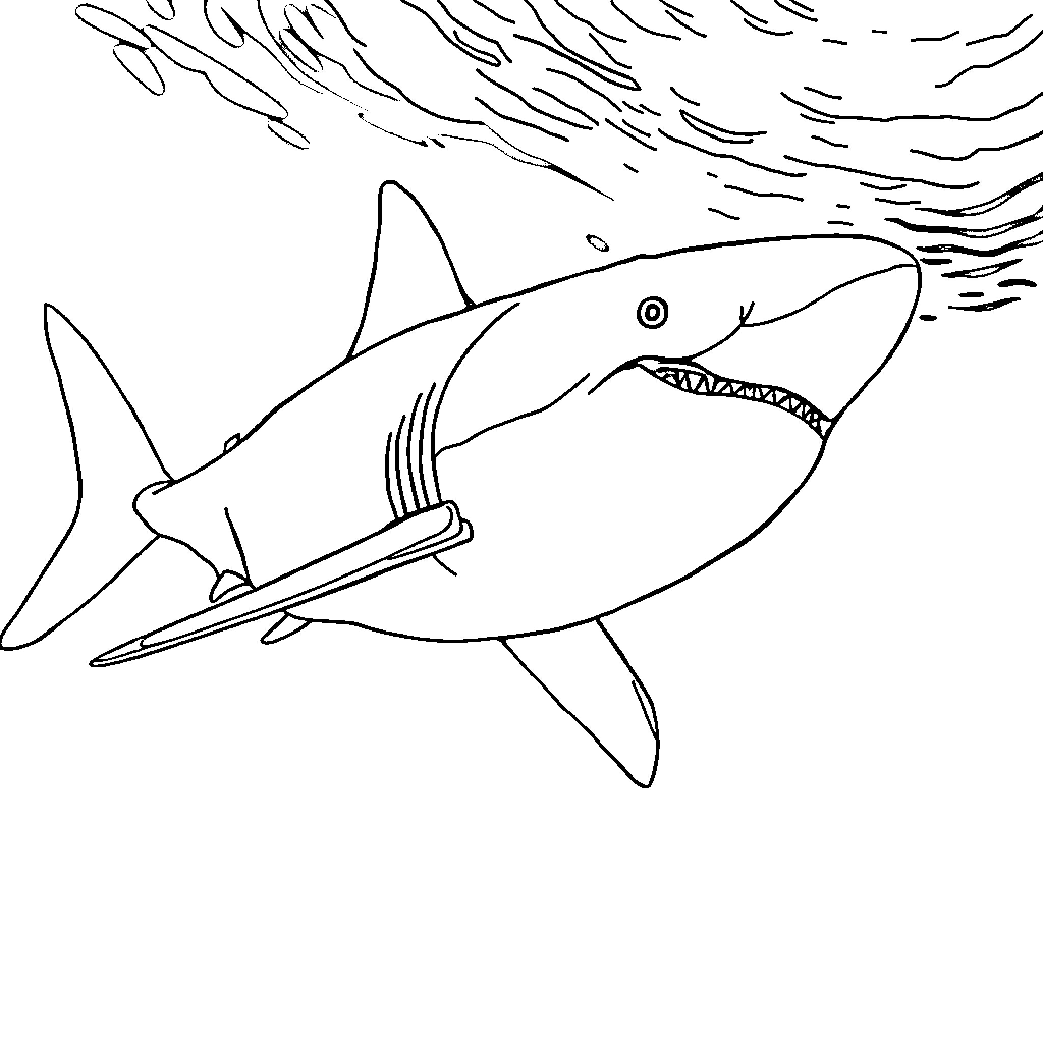 Shark swimming fiercely in the ocean Coloring Page (free black-and-white line drawing printable PDF for all, from beginners to advanced learners, including children, teens, adults, and seniors)