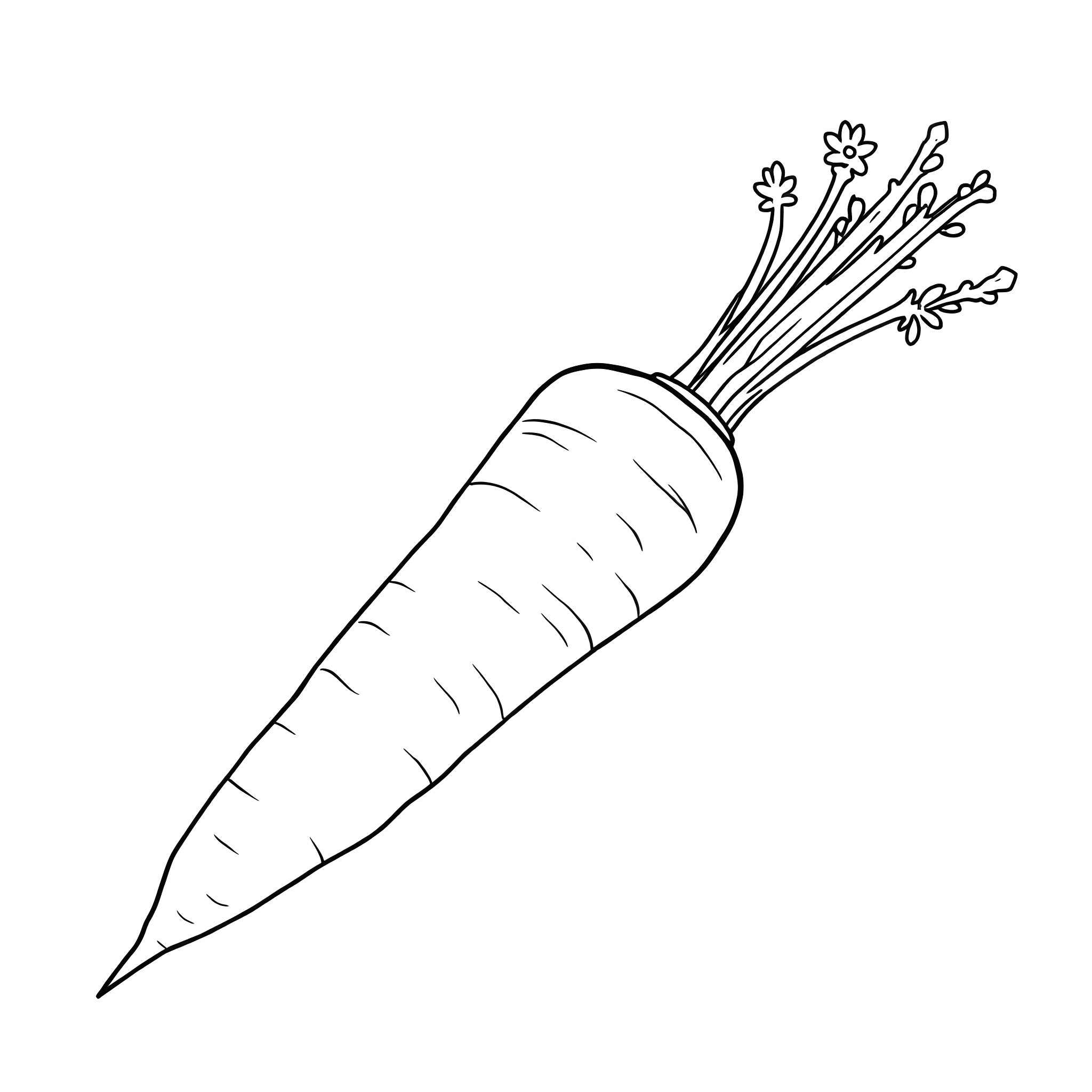 Carrot with flowing leaves Coloring Page (free black-and-white line drawing printable PDF for all, from beginners to advanced learners, including children, teens, adults, and seniors)