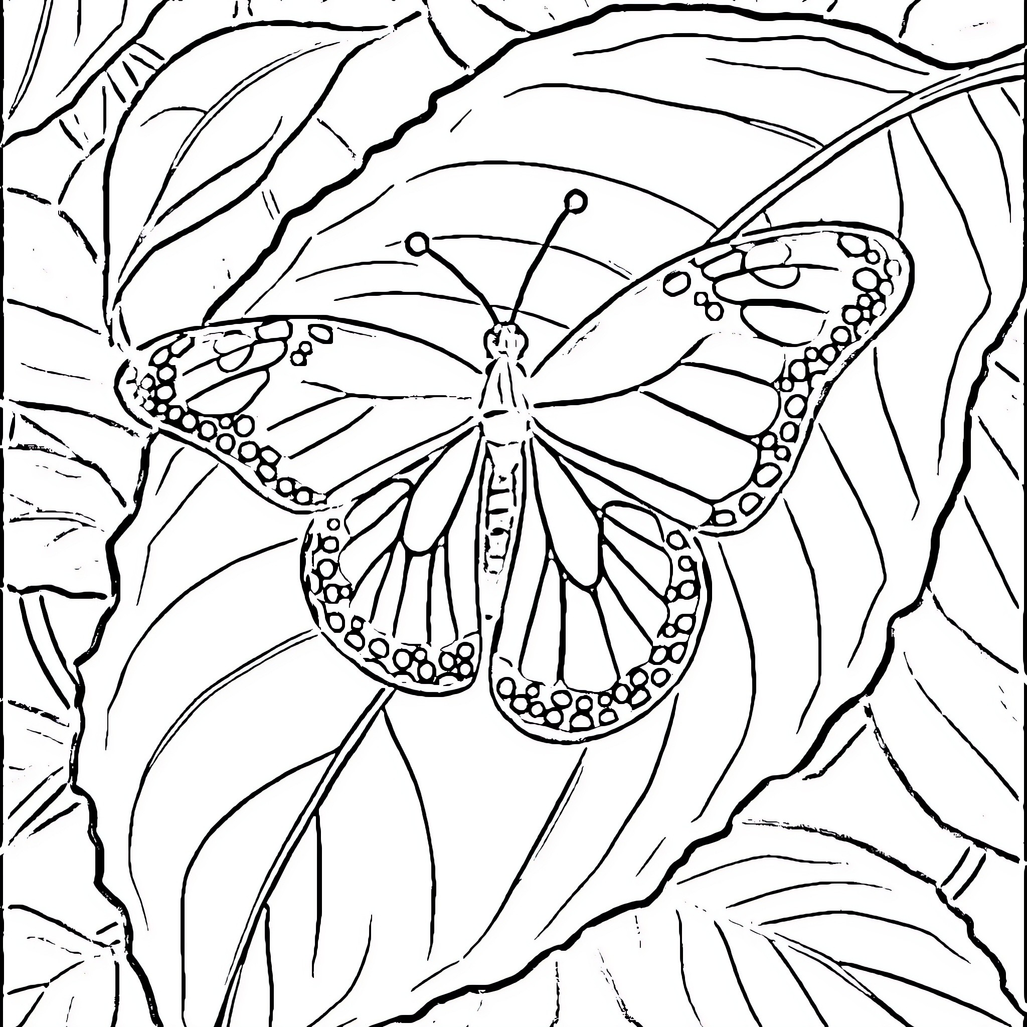 Butterfly resting on vibrant foliage Coloring Page (free black-and-white line drawing printable PDF for all, from beginners to advanced learners, including children, teens, adults, and seniors)