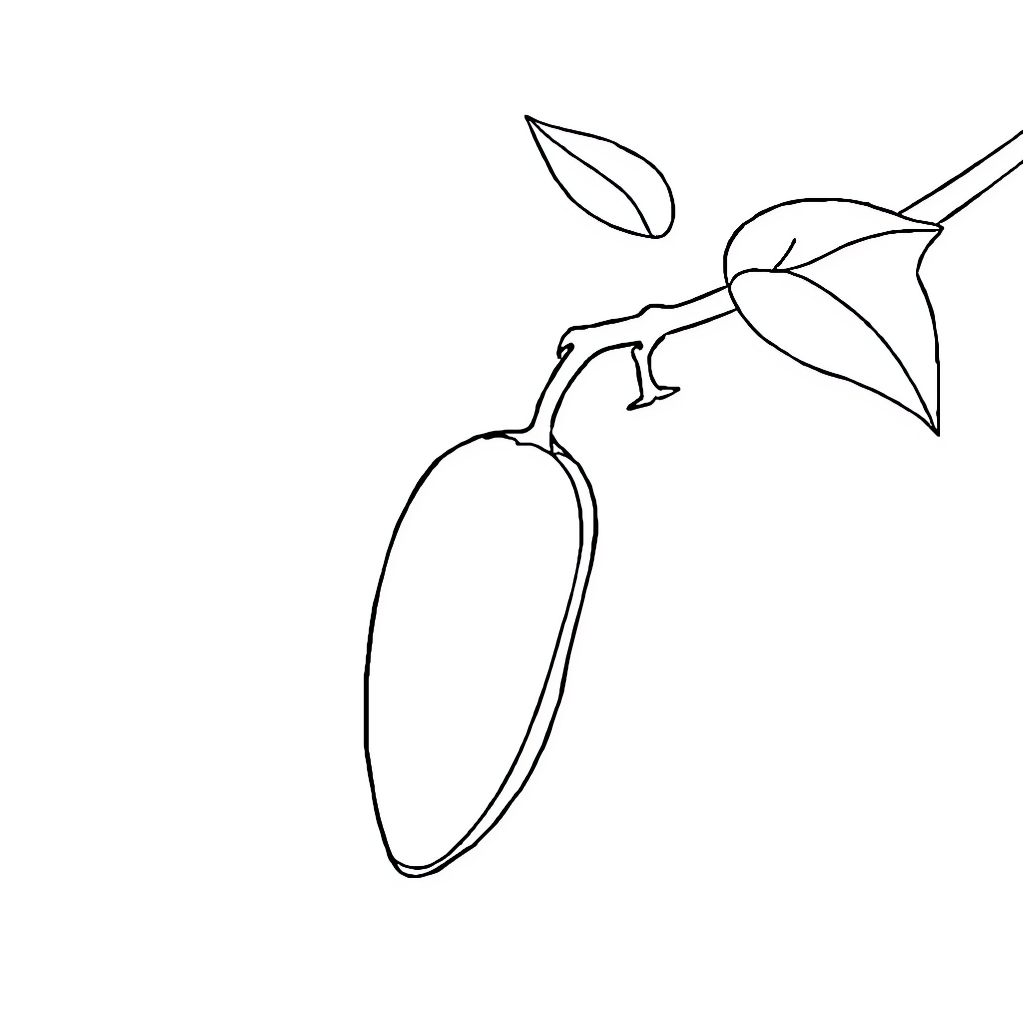 Banana hanging from a branch Coloring Page (free black-and-white line drawing printable PDF for all, from beginners to advanced learners, including children, teens, adults, and seniors)