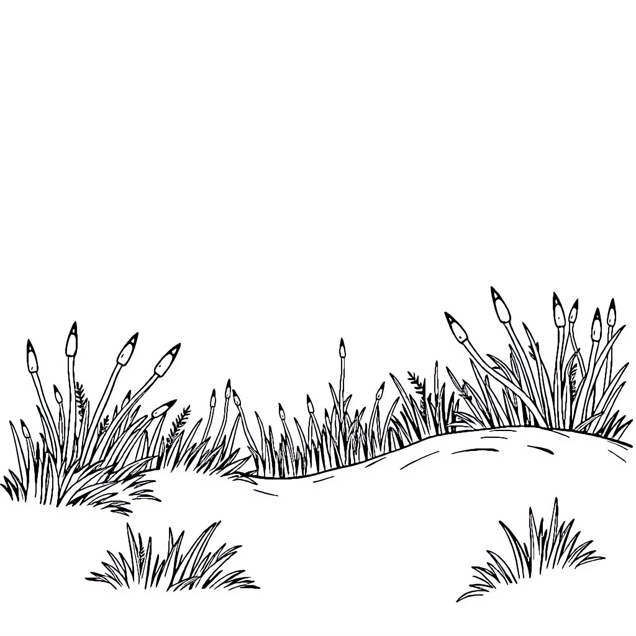 Drawing of nature with tall grass and cattails Coloring Page (free black-and-white line drawing printable PDF for all, from beginners to advanced learners, including children, teens, adults, and seniors)