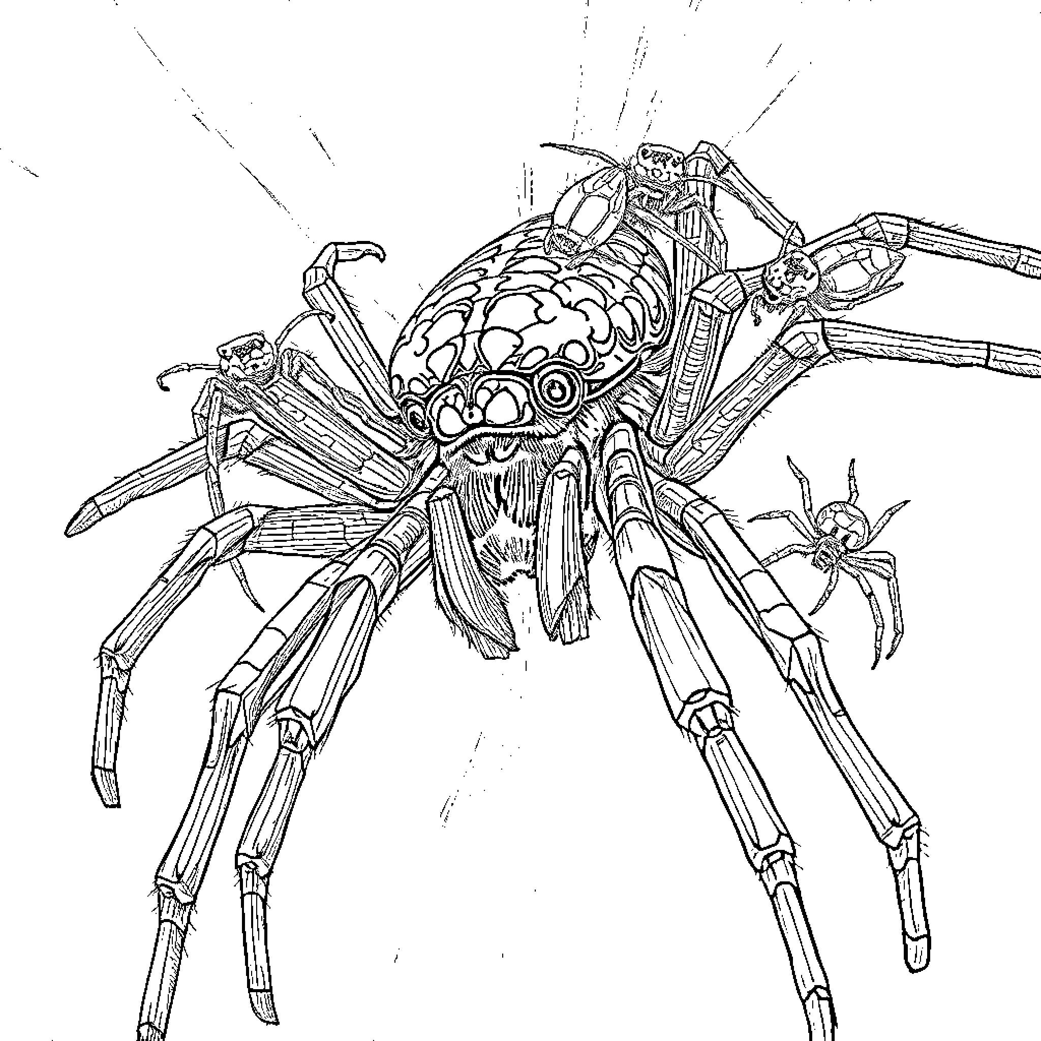 Spider-like mechanical creature with intricate anatomy Coloring Page (free black-and-white line drawing printable PDF for all, from beginners to advanced learners, including children, teens, adults, and seniors)