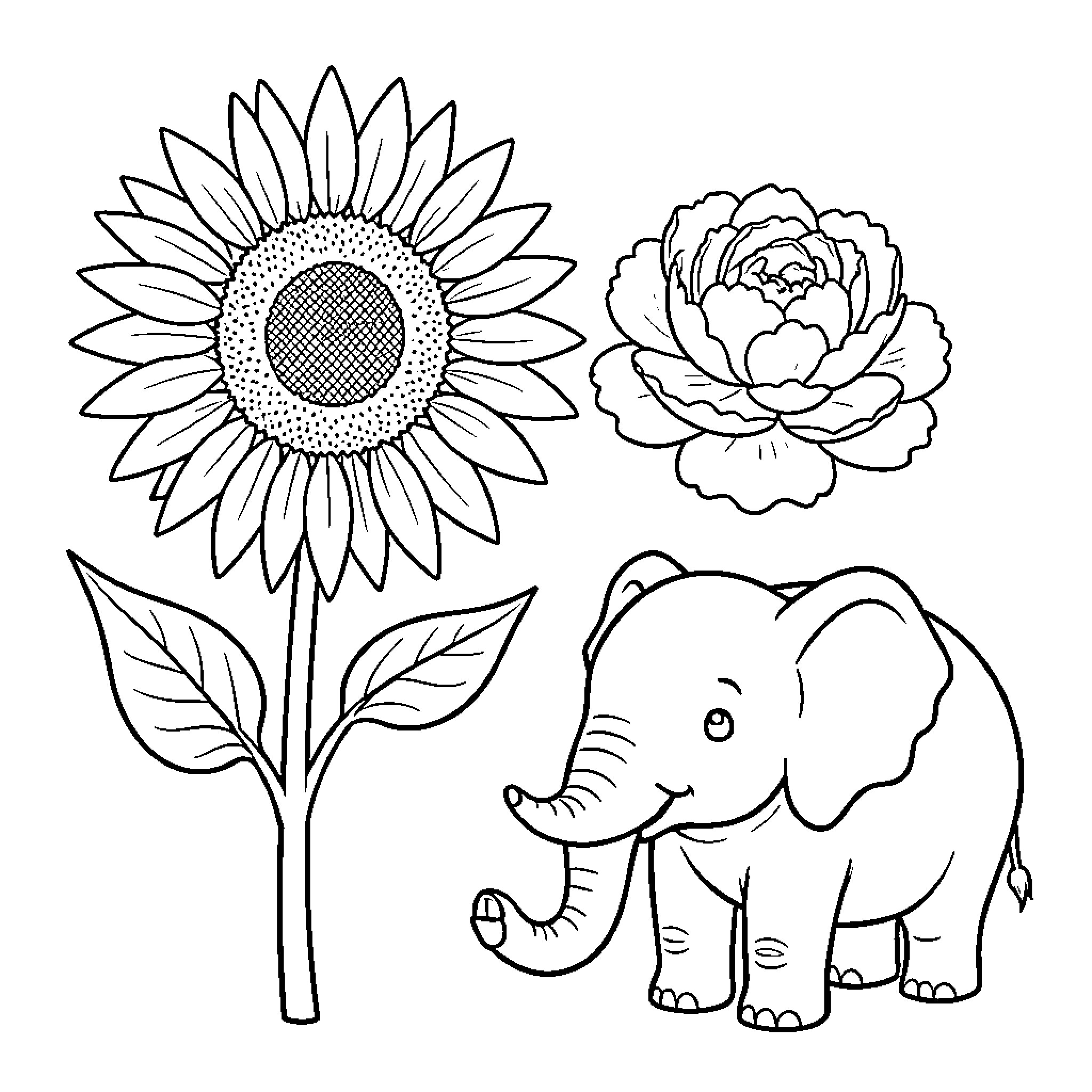 Elephant and floral illustrations Coloring Page (free black-and-white line drawing printable PDF for all, from beginners to advanced learners, including children, teens, adults, and seniors)