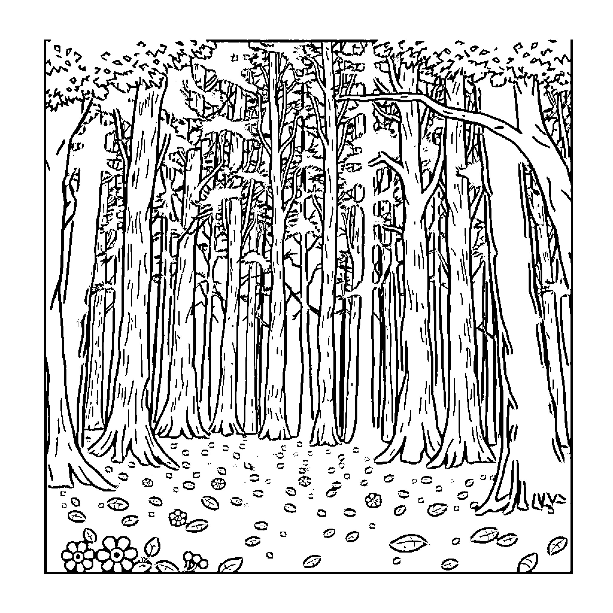 Forest Scene with Tangled Trees and Rocks Coloring Page (free black-and-white line drawing printable PDF for all, from beginners to advanced learners, including children, teens, adults, and seniors)