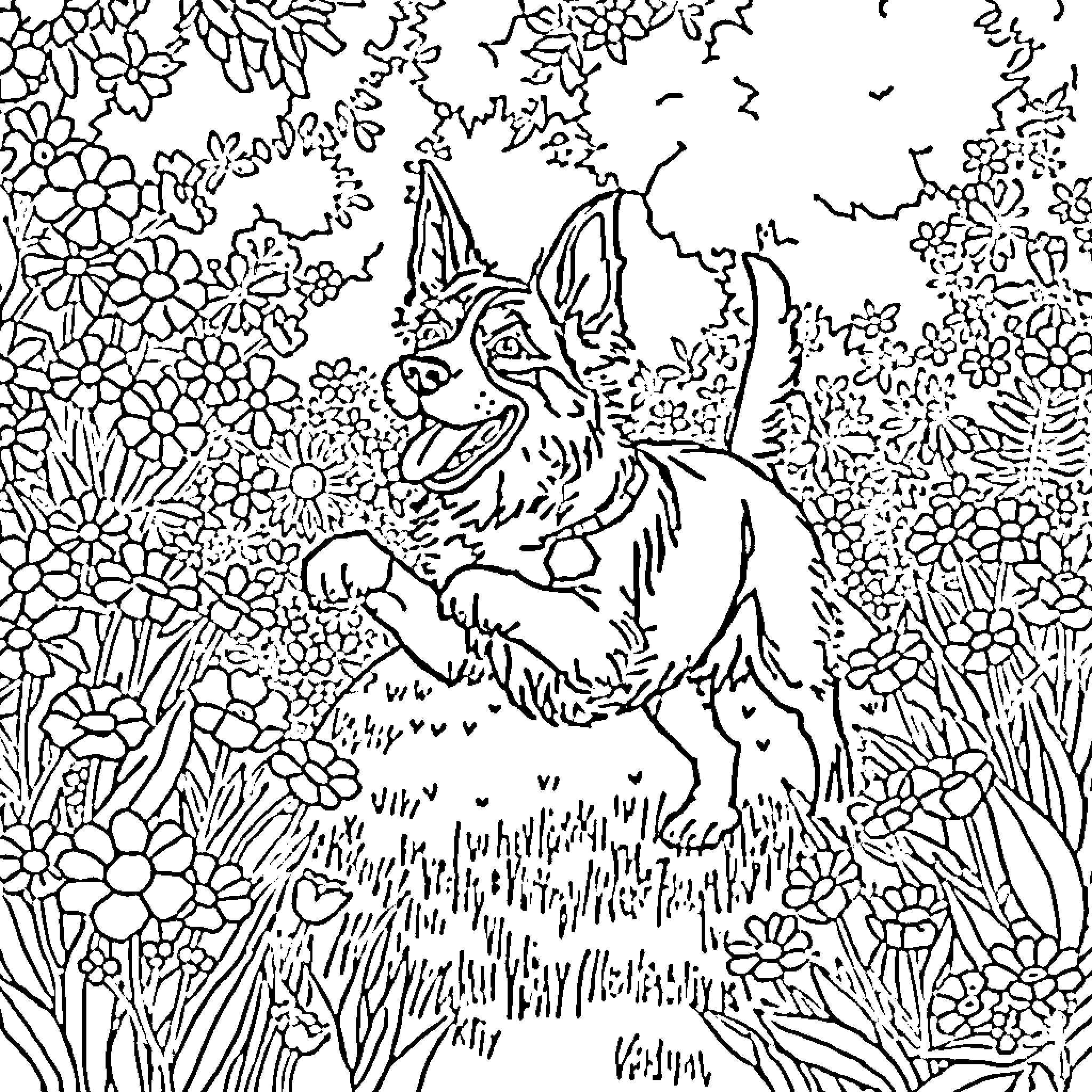 Shepherd Dog playfully exploring floral landscape Coloring Page (free black-and-white line drawing printable PDF for all, from beginners to advanced learners, including children, teens, adults, and seniors)