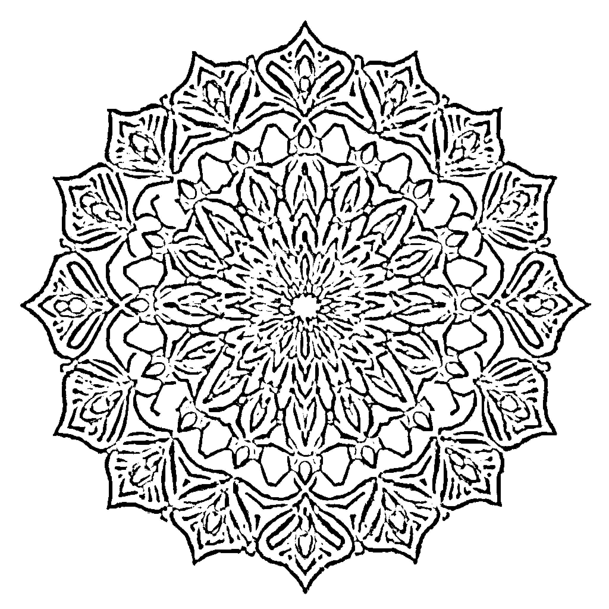 Mandala of intricate floral patterns Coloring Page (free black-and-white line drawing printable PDF for all, from beginners to advanced learners, including children, teens, adults, and seniors)