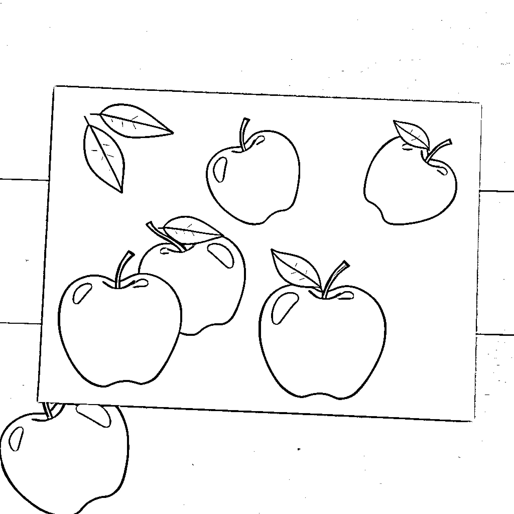 Apple outlines in simple line drawing Coloring Page (free black-and-white line drawing printable PDF for all, from beginners to advanced learners, including children, teens, adults, and seniors)