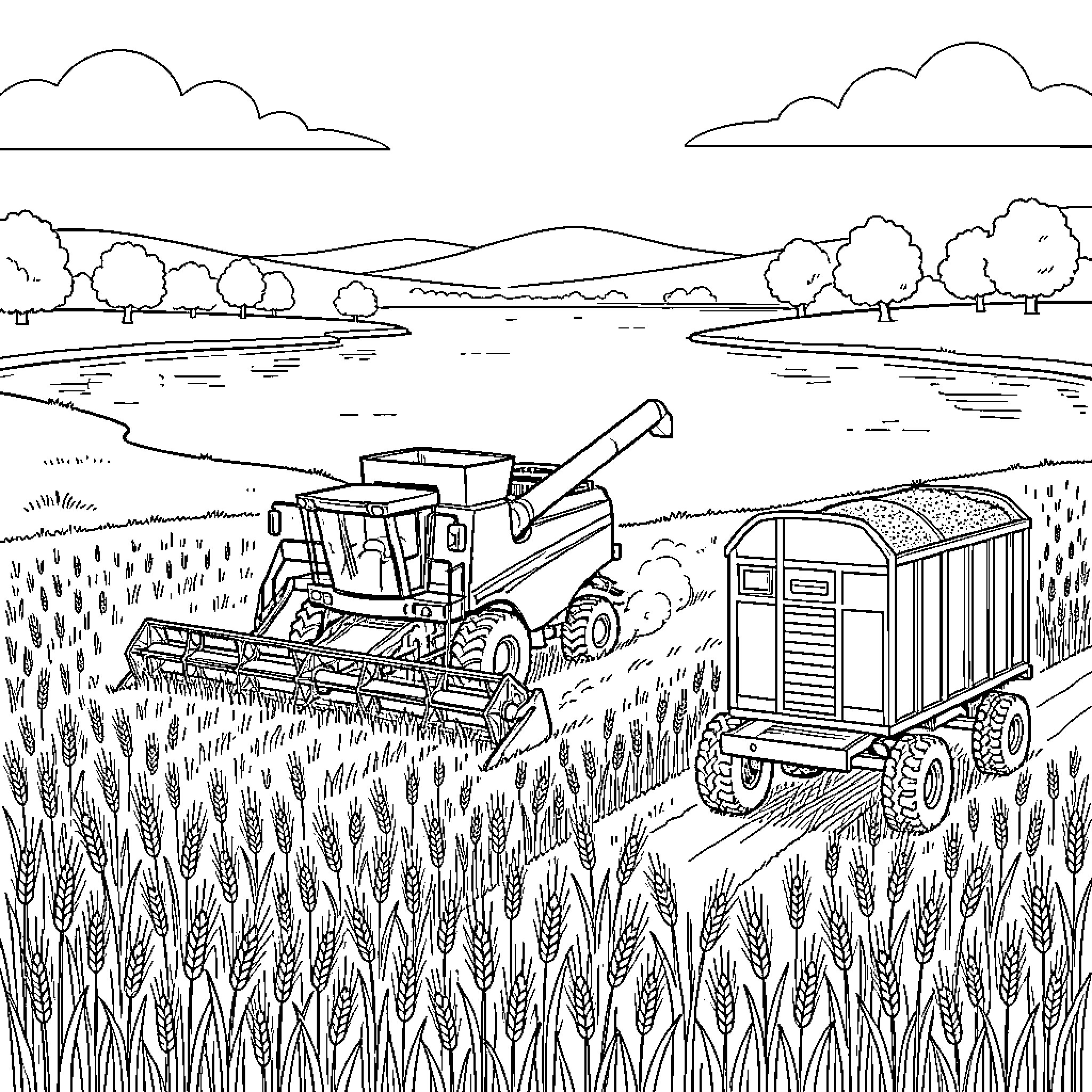 Combine Harvester working in a wheat field Coloring Page (free black-and-white line drawing printable PDF for all, from beginners to advanced learners, including children, teens, adults, and seniors)