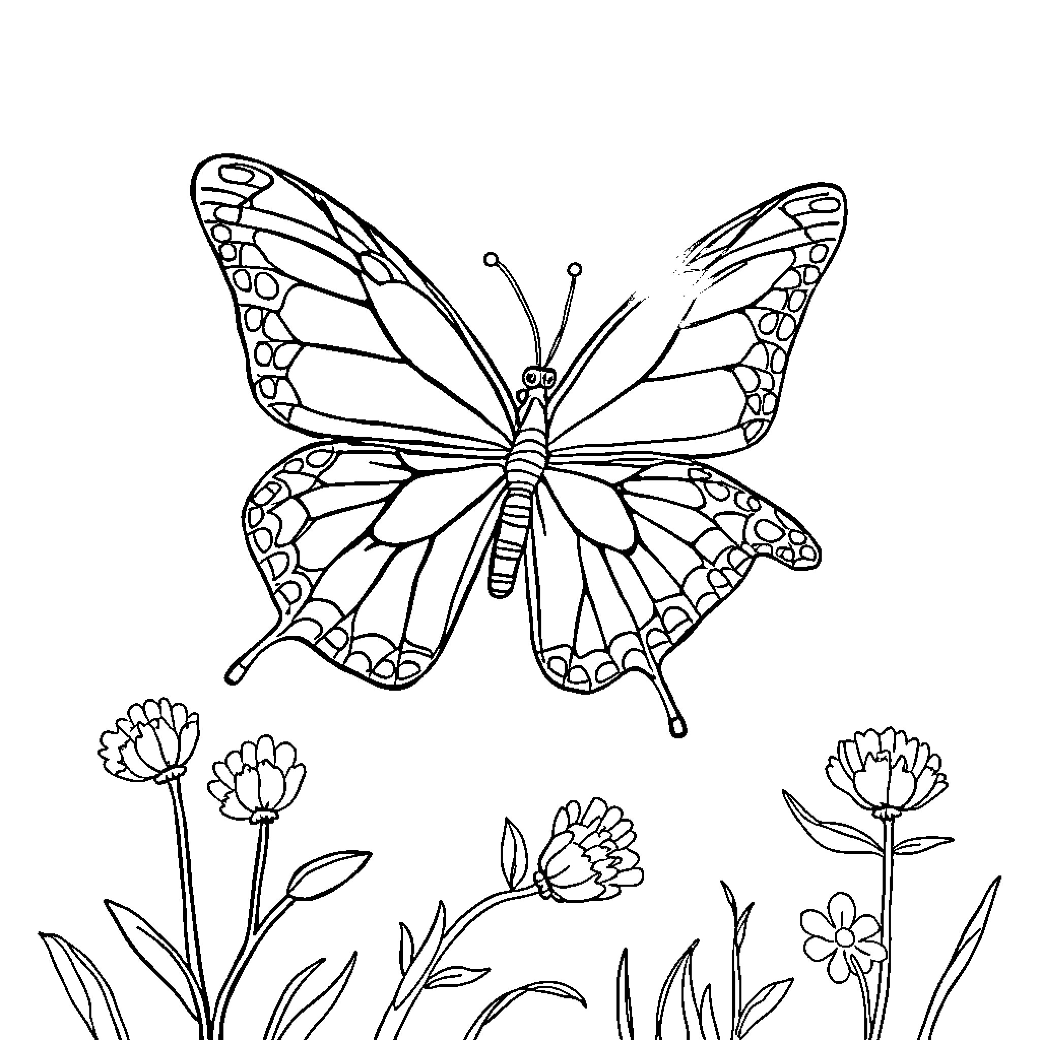 Deer butterfly resting on flowers Coloring Page (free black-and-white line drawing printable PDF for all, from beginners to advanced learners, including children, teens, adults, and seniors)