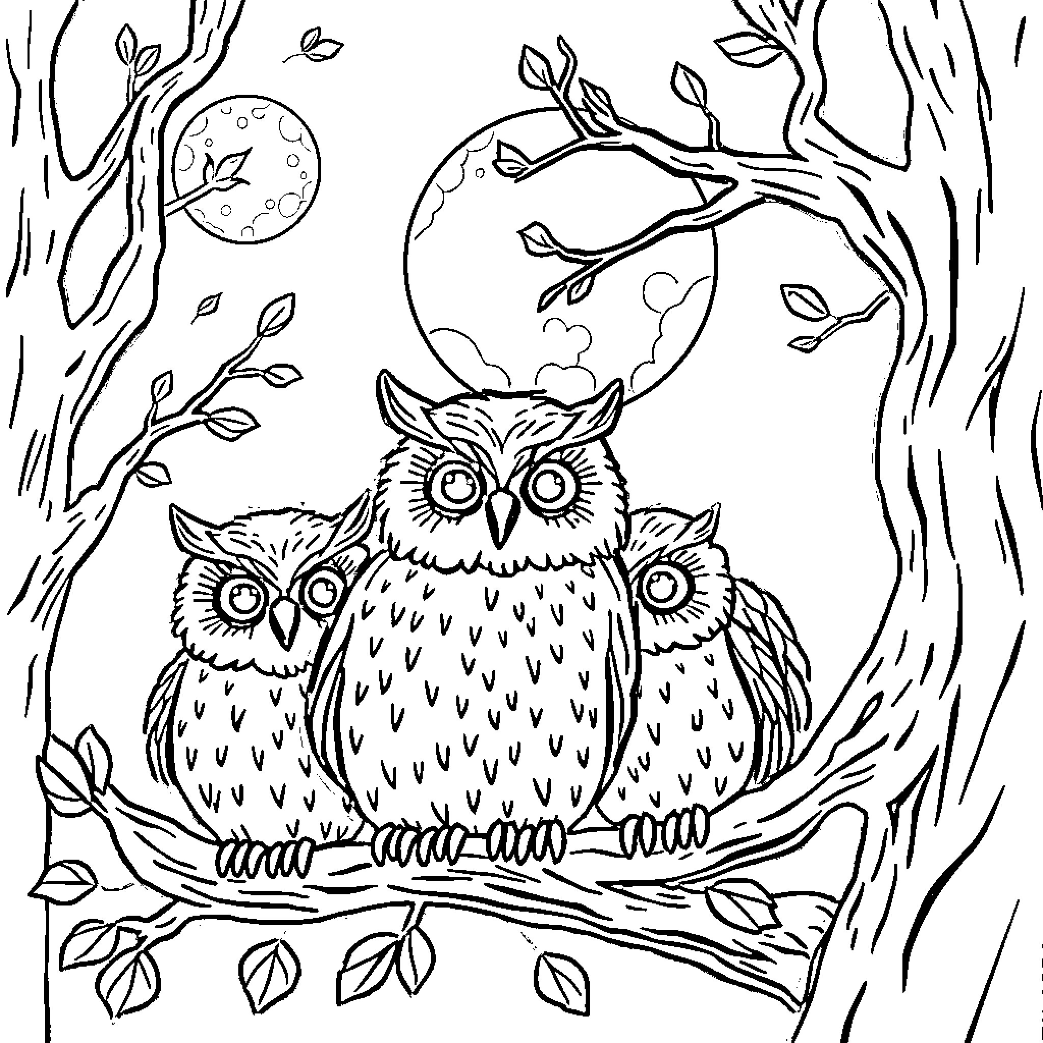Owl family sitting on a tree branch under the moon Coloring Page (free black-and-white line drawing printable PDF for all, from beginners to advanced learners, including children, teens, adults, and seniors)