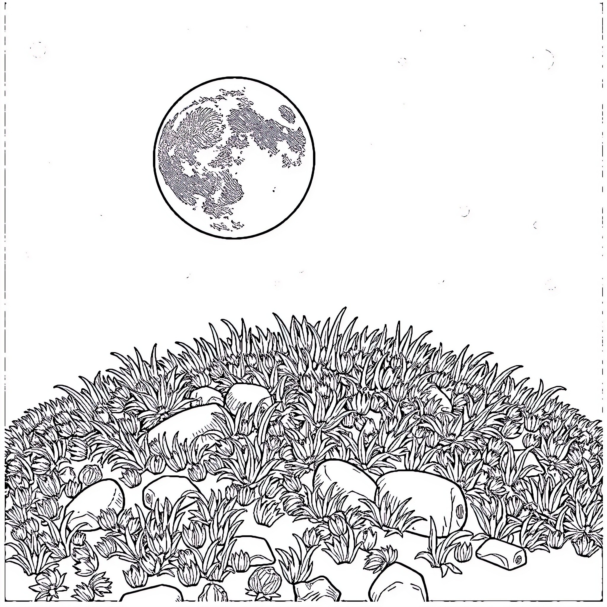 Turf with detailed nature and moon in the sky Coloring Page (free black-and-white line drawing printable PDF for all, from beginners to advanced learners, including children, teens, adults, and seniors)
