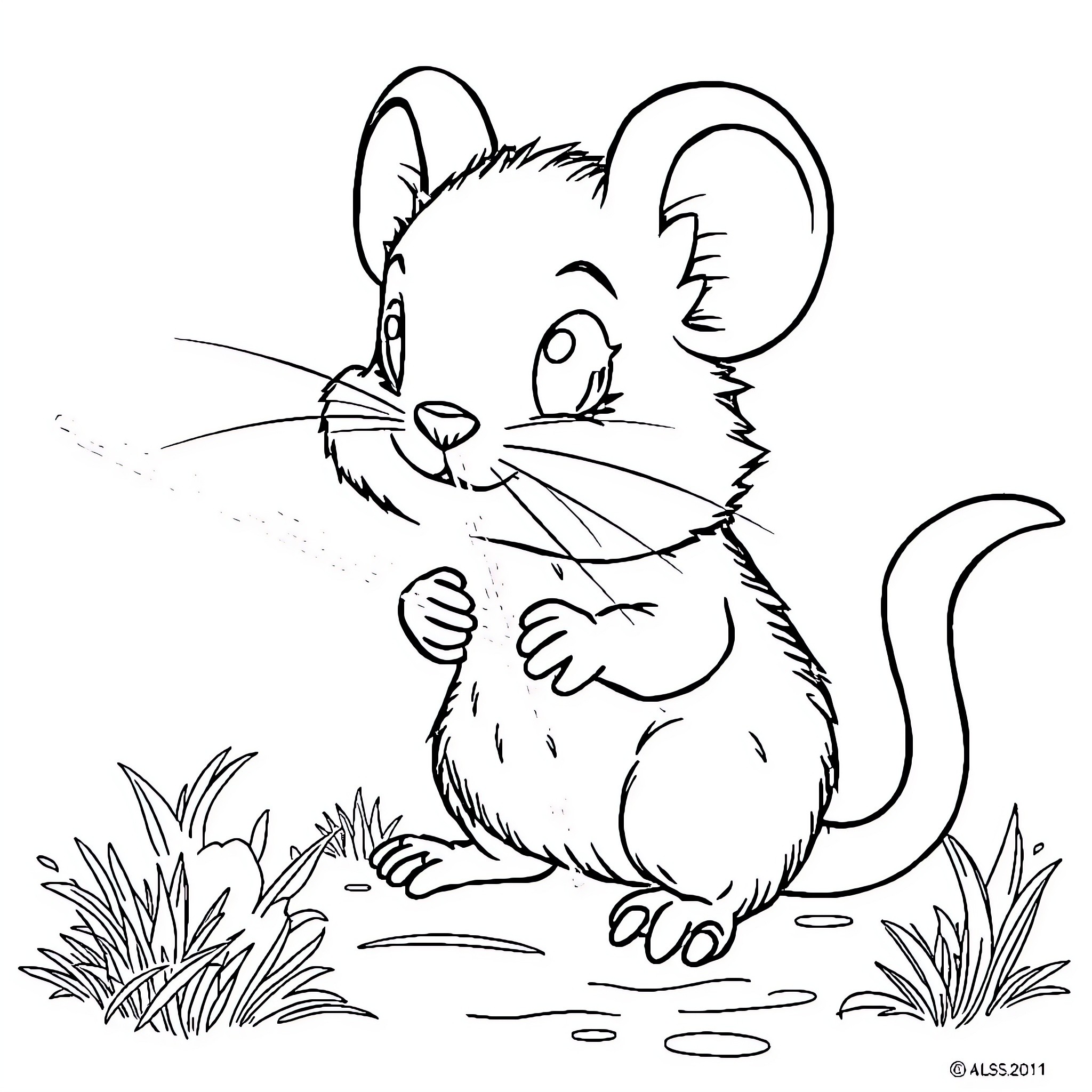 Raccoon sitting curiously in the grass Coloring Page (free black-and-white line drawing printable PDF for all, from beginners to advanced learners, including children, teens, adults, and seniors)