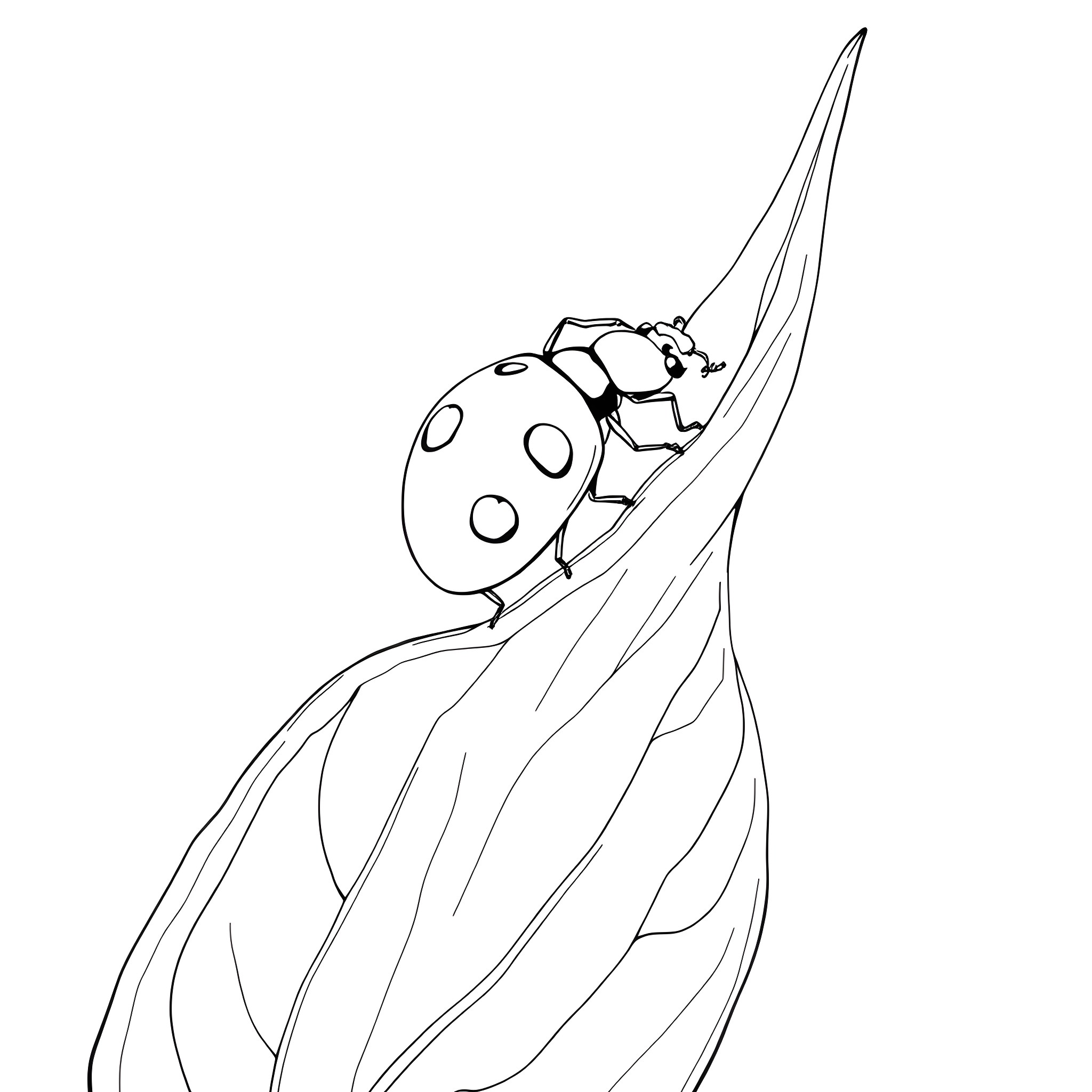 Ladybug exploring the leaf Coloring Page (free black-and-white line drawing printable PDF for all, from beginners to advanced learners, including children, teens, adults, and seniors)