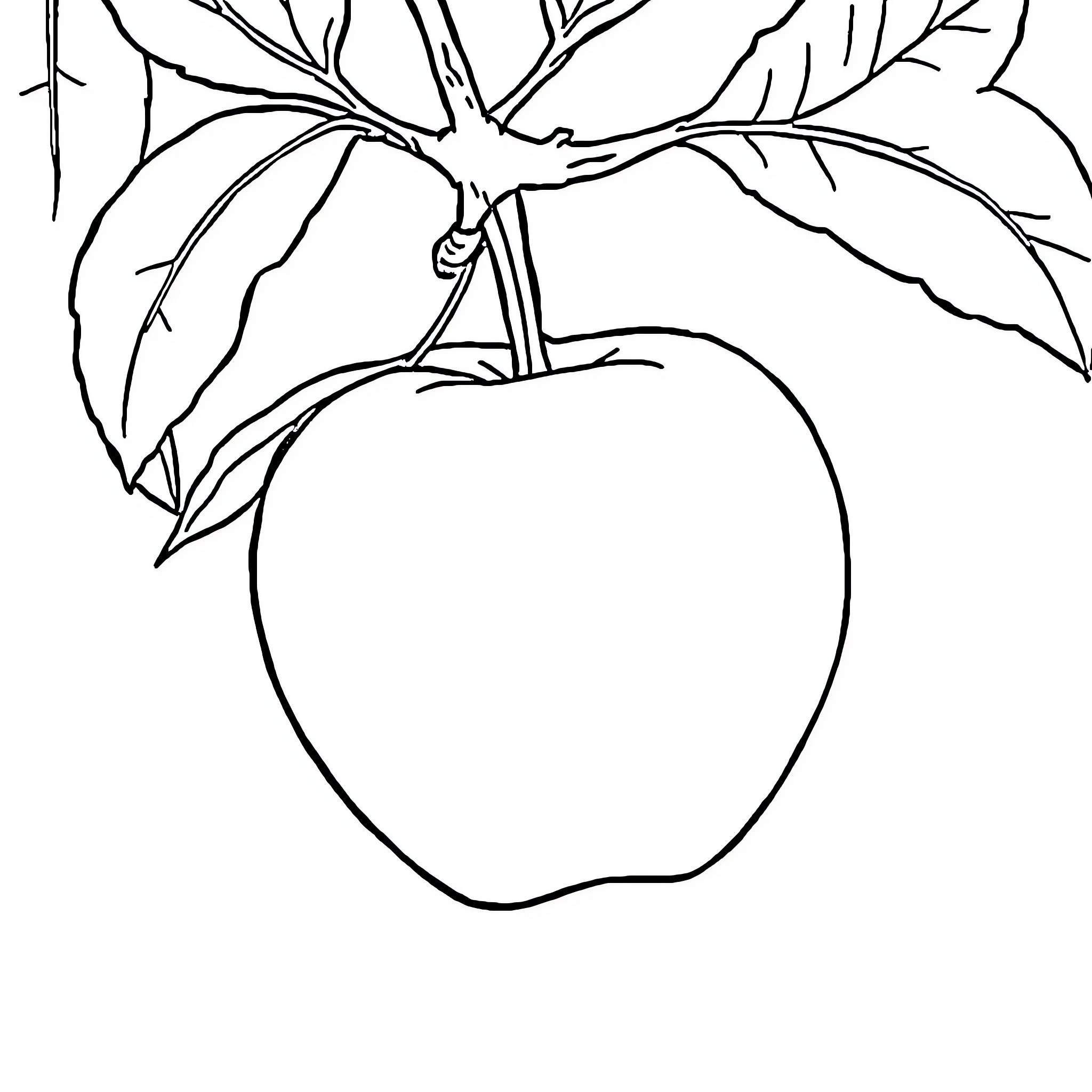 Apple hanging on branch with leaves Coloring Page (free black-and-white line drawing printable PDF for all, from beginners to advanced learners, including children, teens, adults, and seniors)
