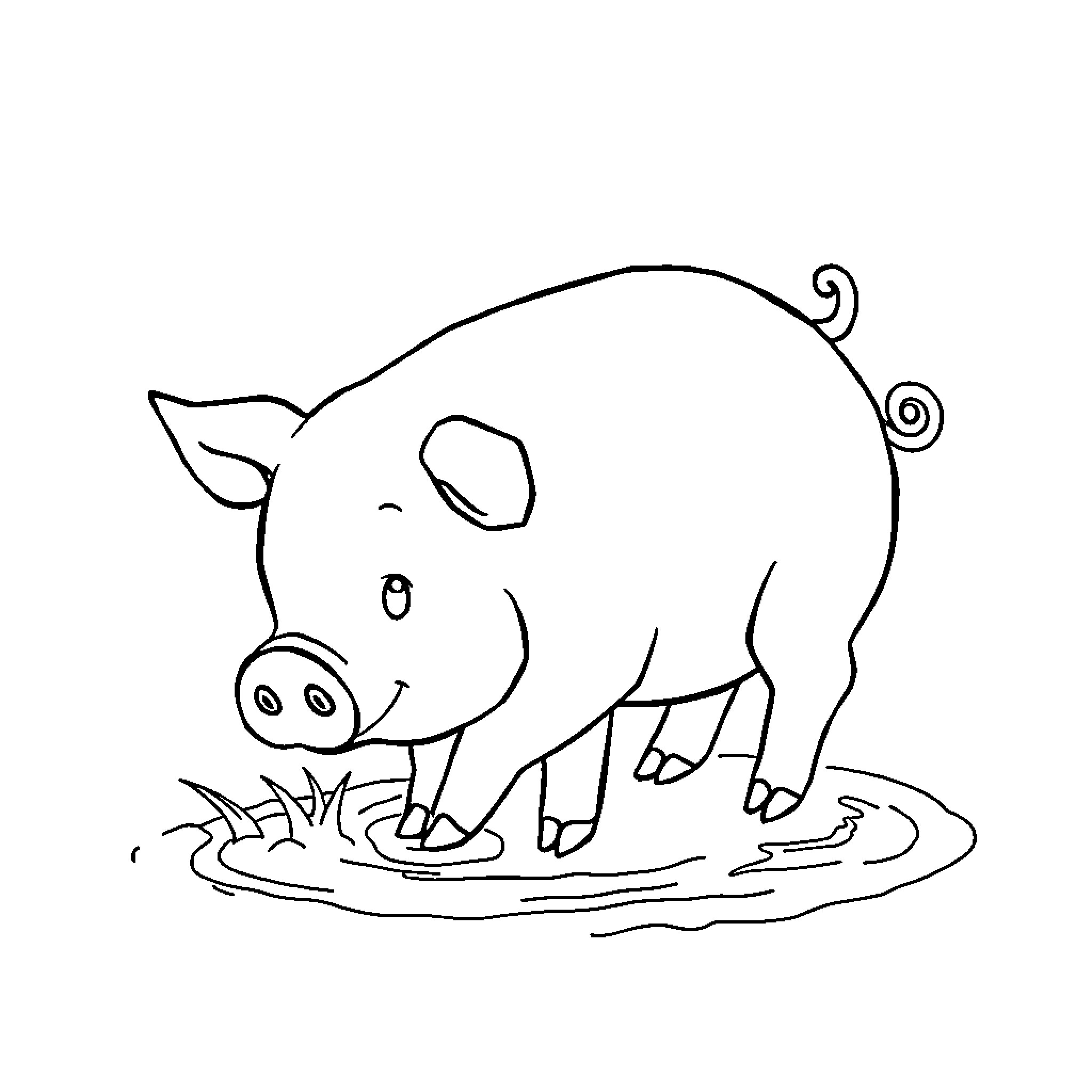Pig playing in the mud Coloring Page (free black-and-white line drawing printable PDF for all, from beginners to advanced learners, including children, teens, adults, and seniors)