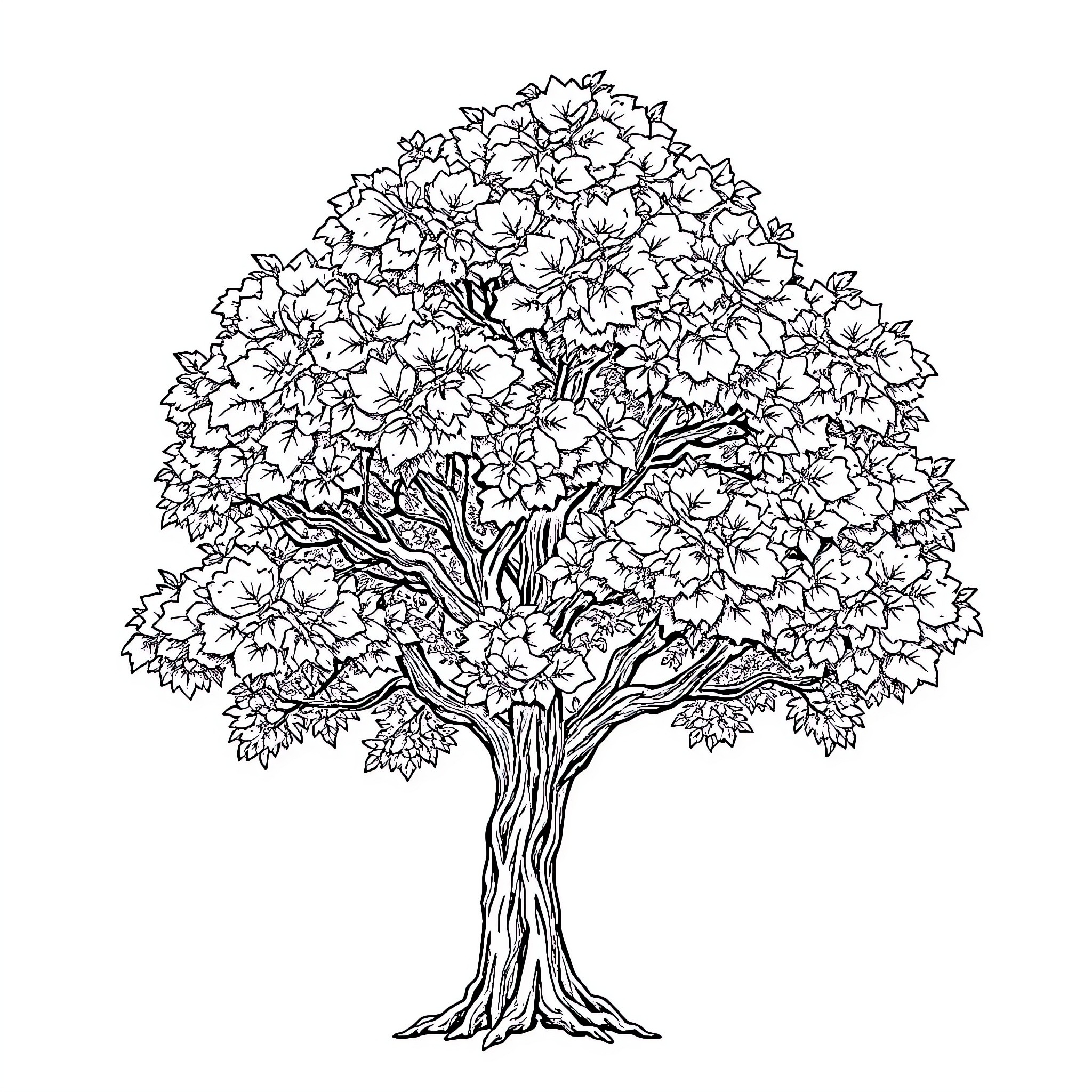 Tree with dense foliage in detailed illustration Coloring Page (free black-and-white line drawing printable PDF for all, from beginners to advanced learners, including children, teens, adults, and seniors)