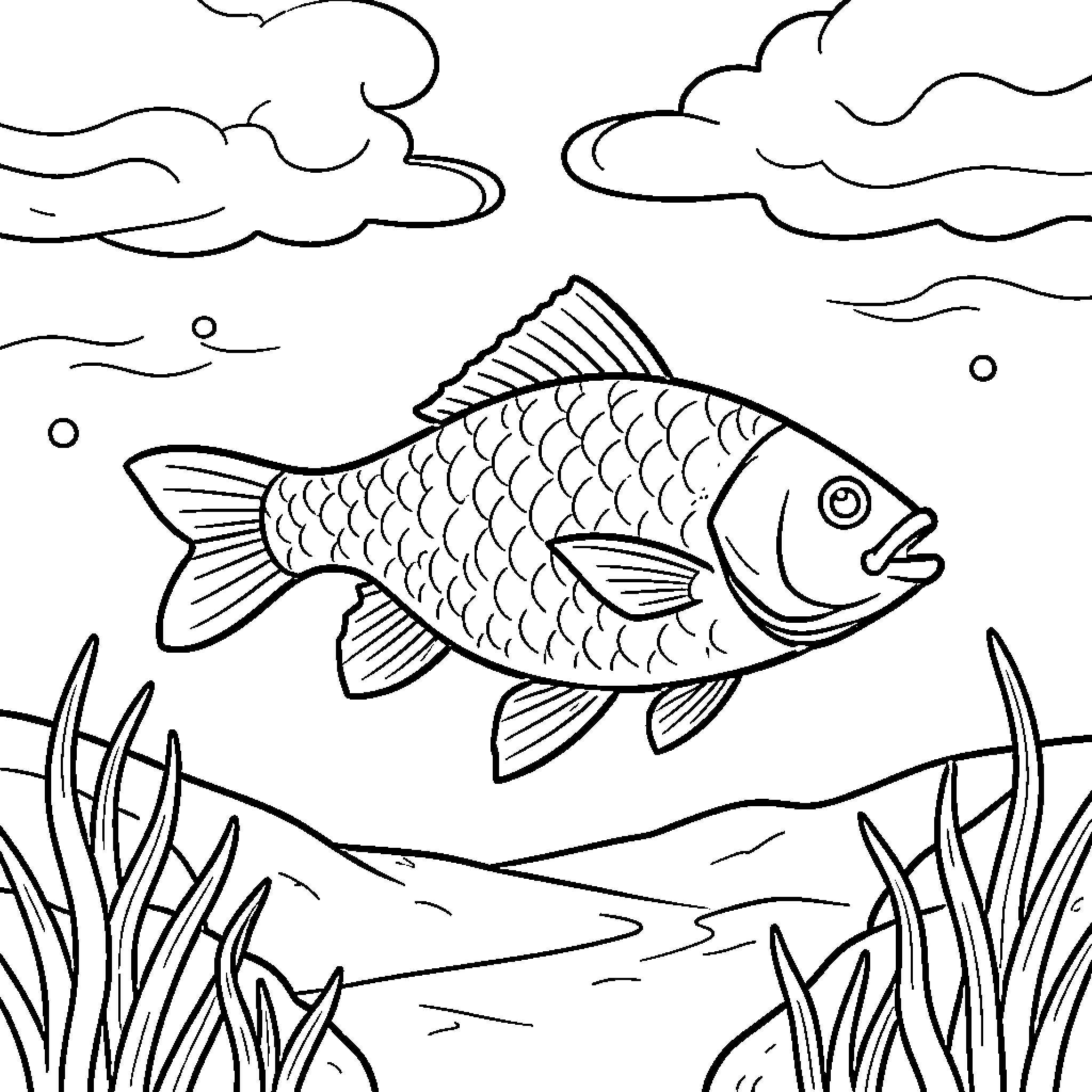 Fish swimming through seaweed in the ocean Coloring Page (free black-and-white line drawing printable PDF for all, from beginners to advanced learners, including children, teens, adults, and seniors)