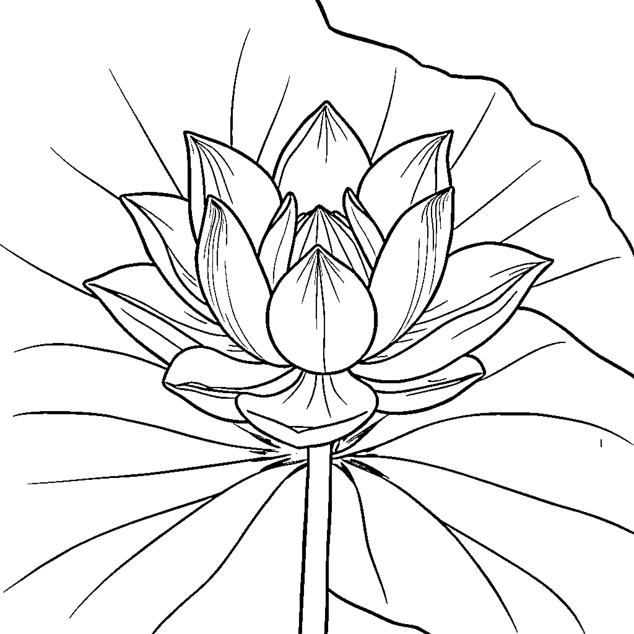 Lotus flower blooming in serenity Coloring Page (free black-and-white line drawing printable PDF for all, from beginners to advanced learners, including children, teens, adults, and seniors)