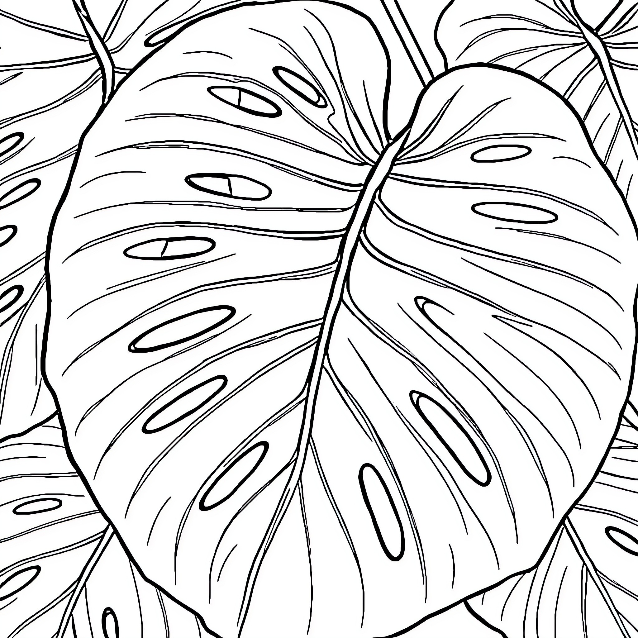 Monstera leaves in black and white Coloring Page (free black-and-white line drawing printable PDF for all, from beginners to advanced learners, including children, teens, adults, and seniors)